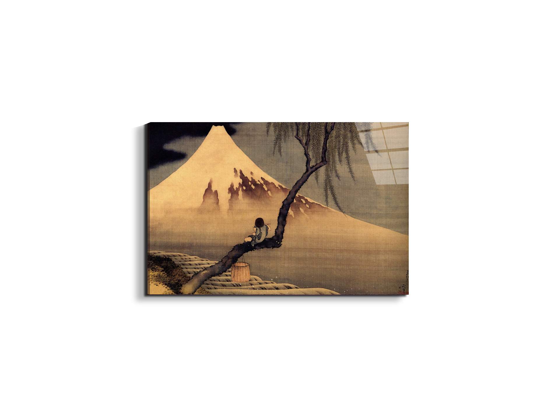 boy-in-front-of-fujiamaas90023-