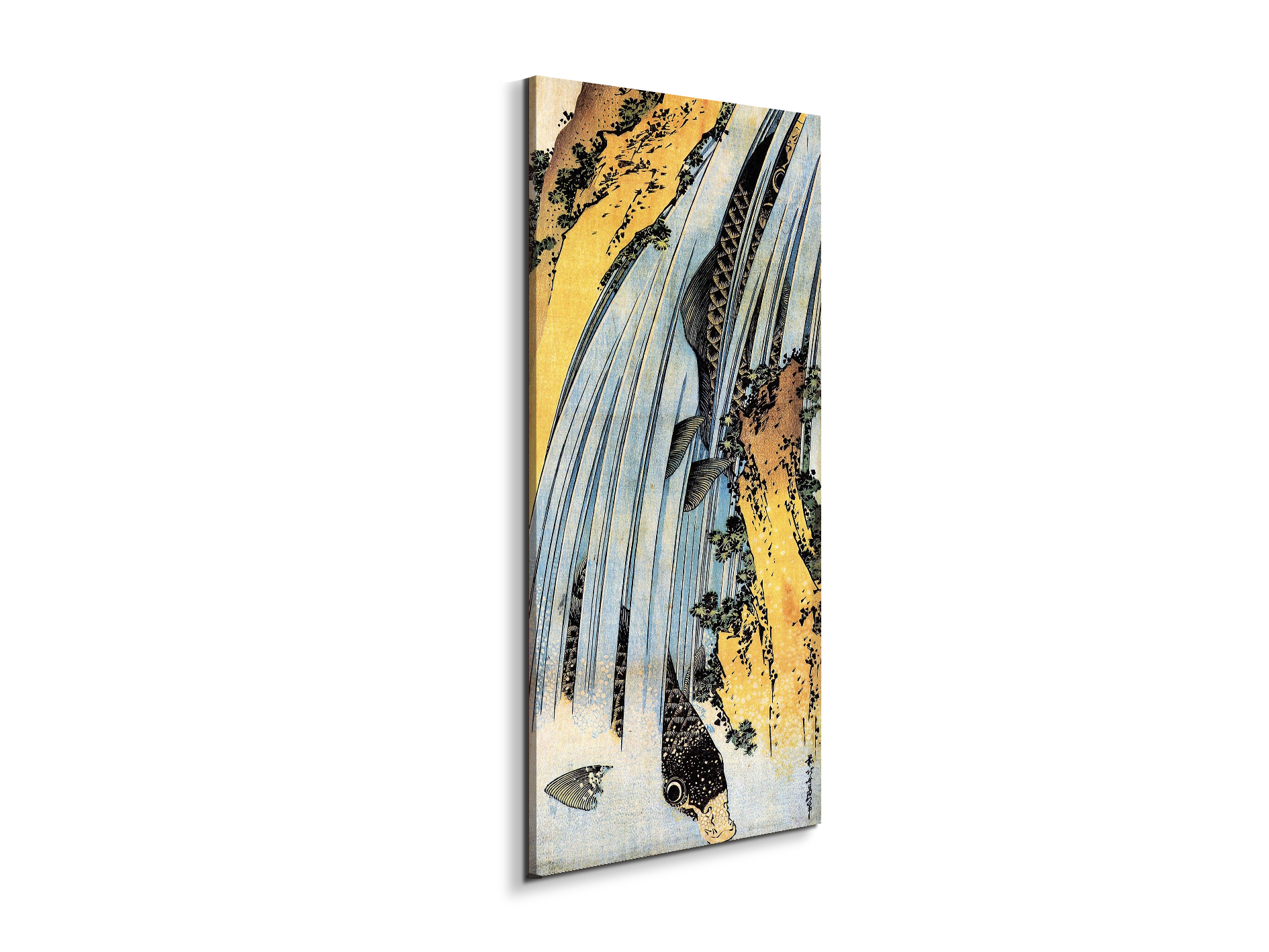 carps-ascending-waterfallas90031-