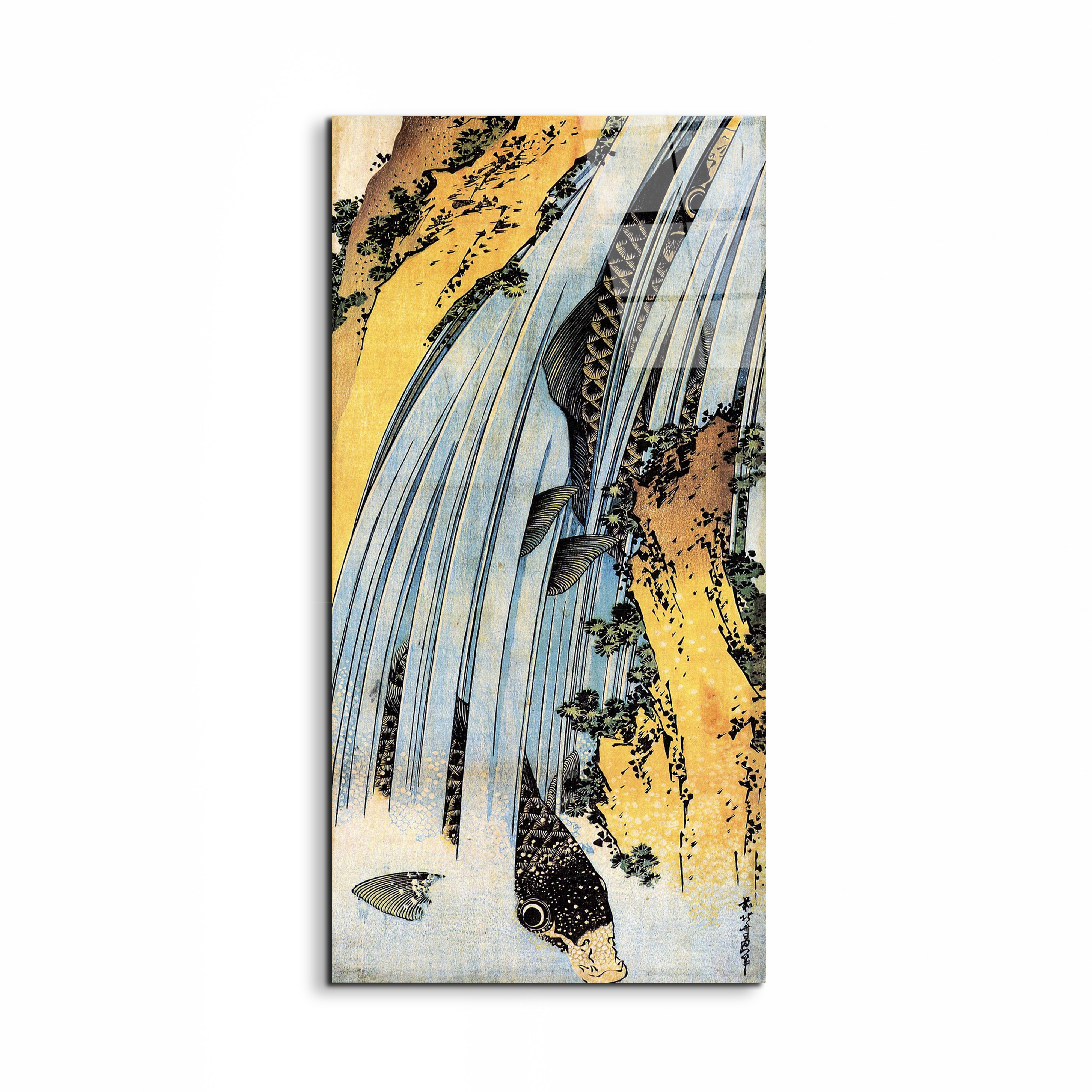 carps-ascending-waterfallas90031-