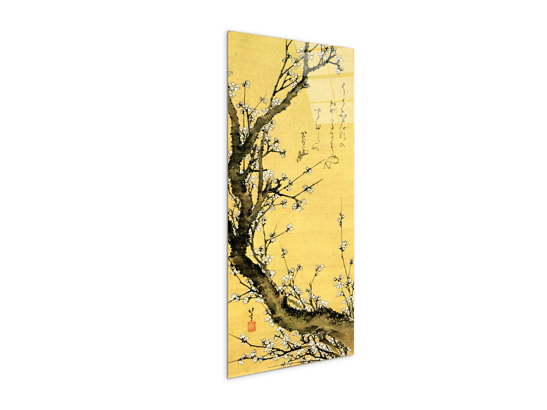 flowering-plumas90047-