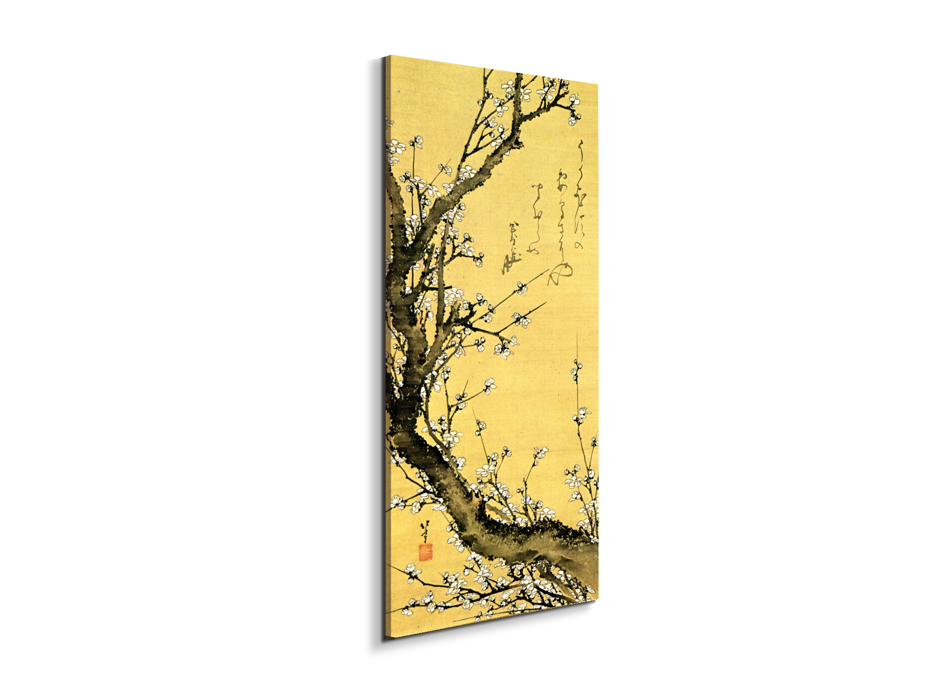 flowering-plumas90047-