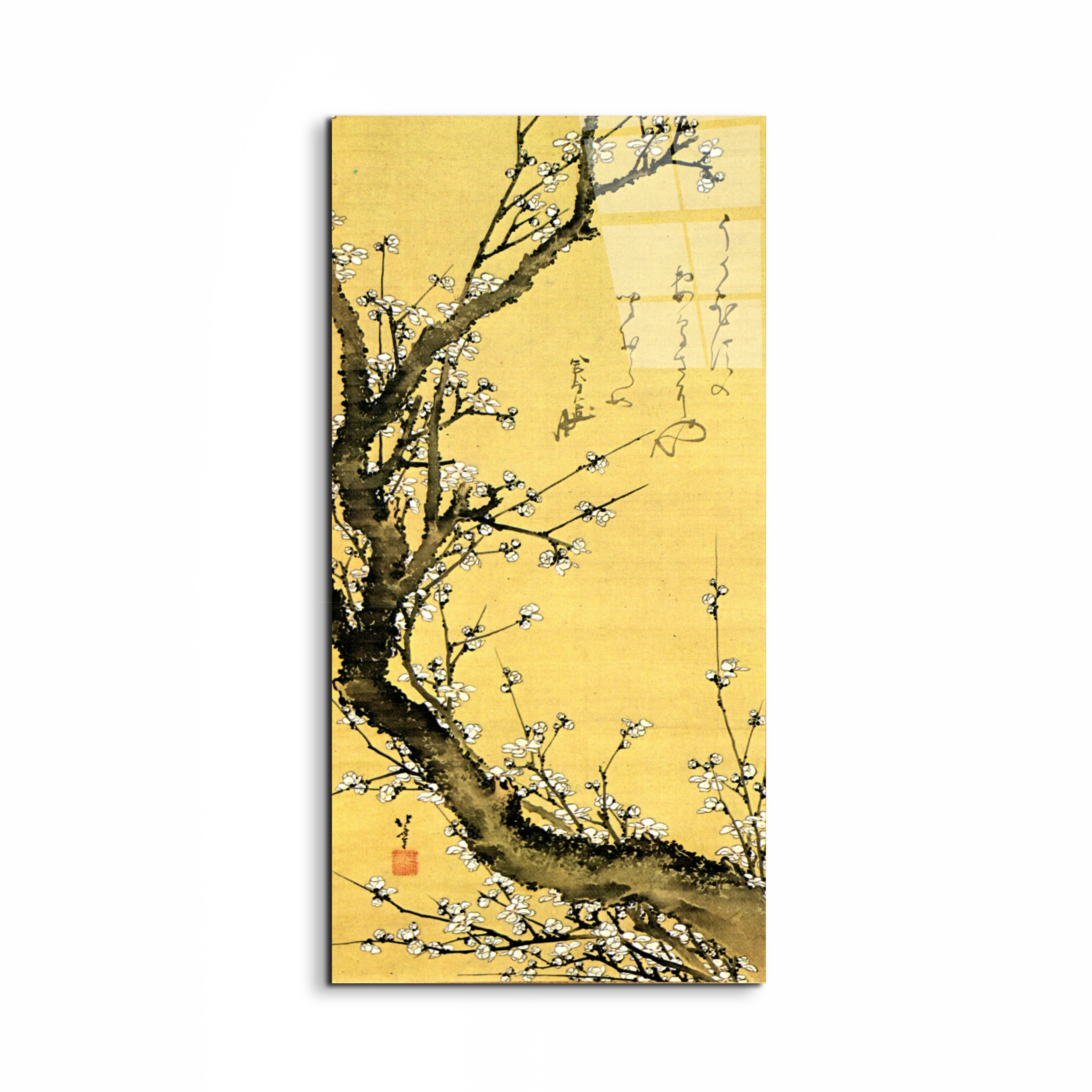 flowering-plumas90047-