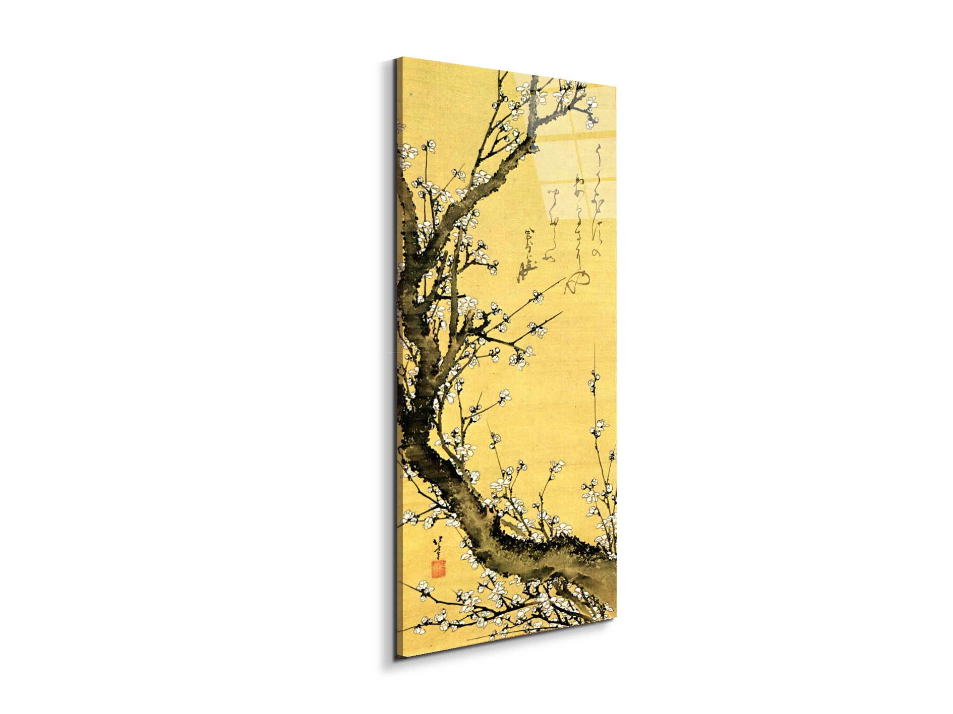 flowering-plumas90047-