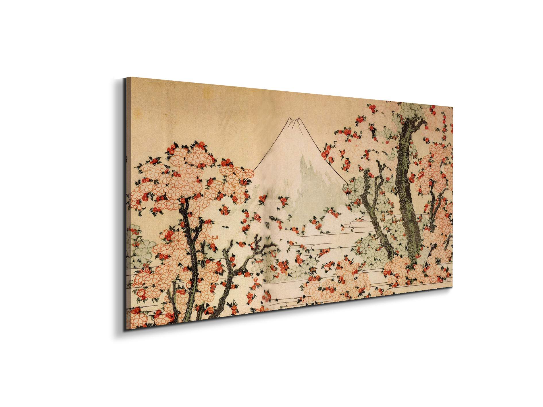mount-fuji-behind-cherry-trees-and-flowersas90073-