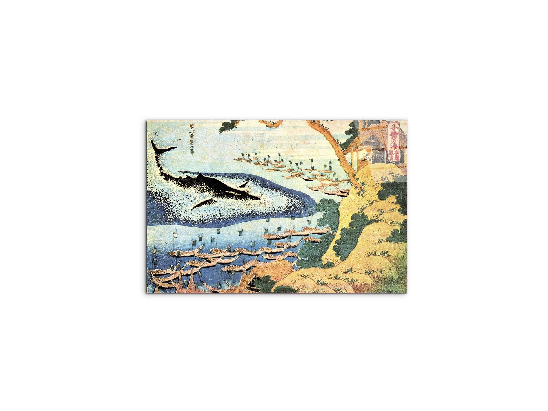 ocean-landscape-and-whaleas90099-#materiale_CrystalArt/dimensioni_50x33,33