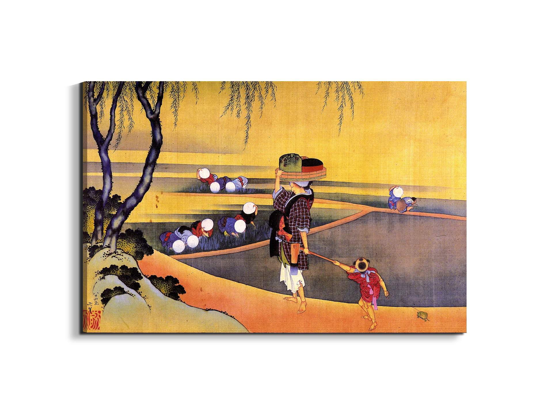rice-fieldsas90119-
