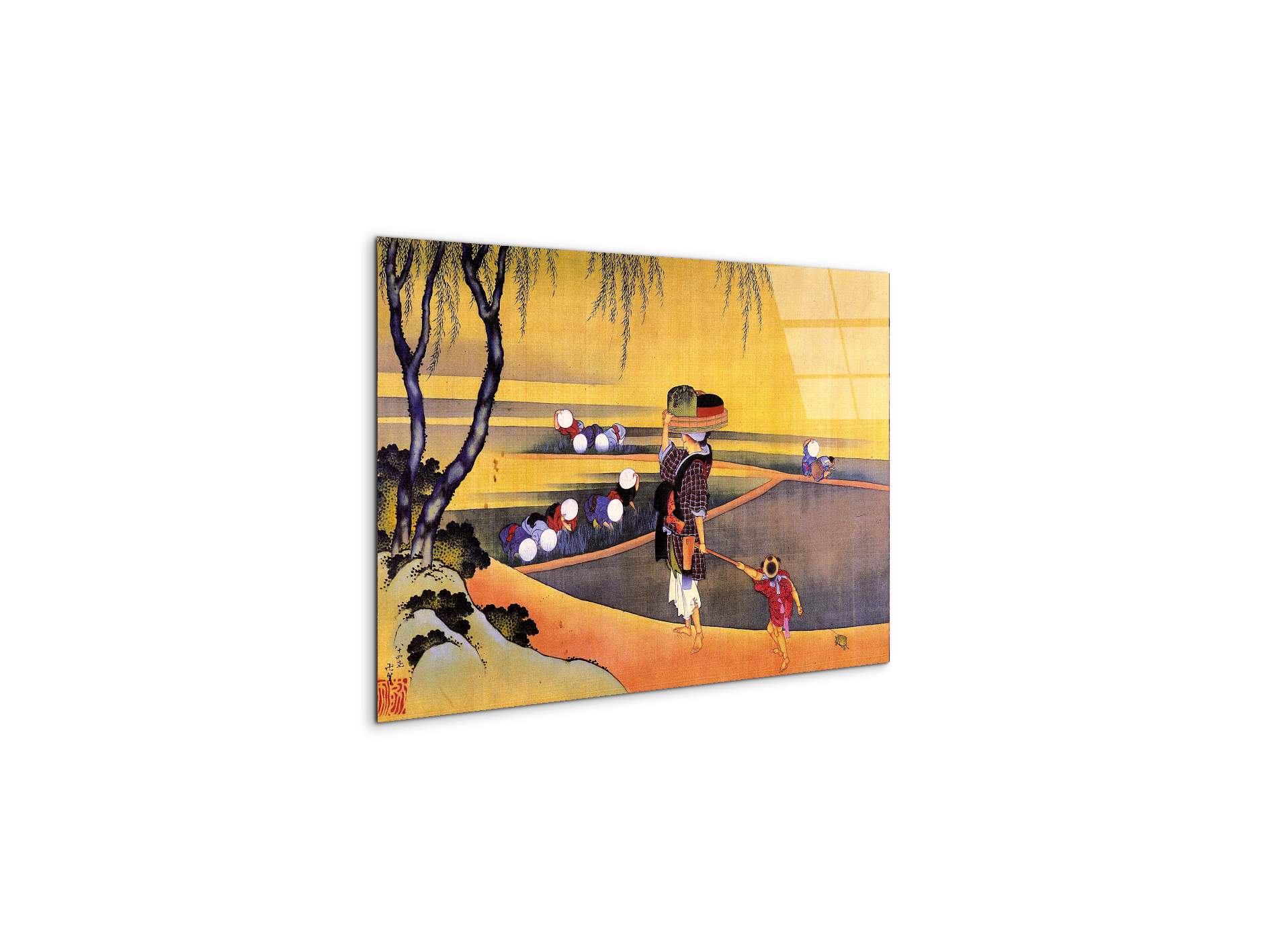 rice-fieldsas90119-