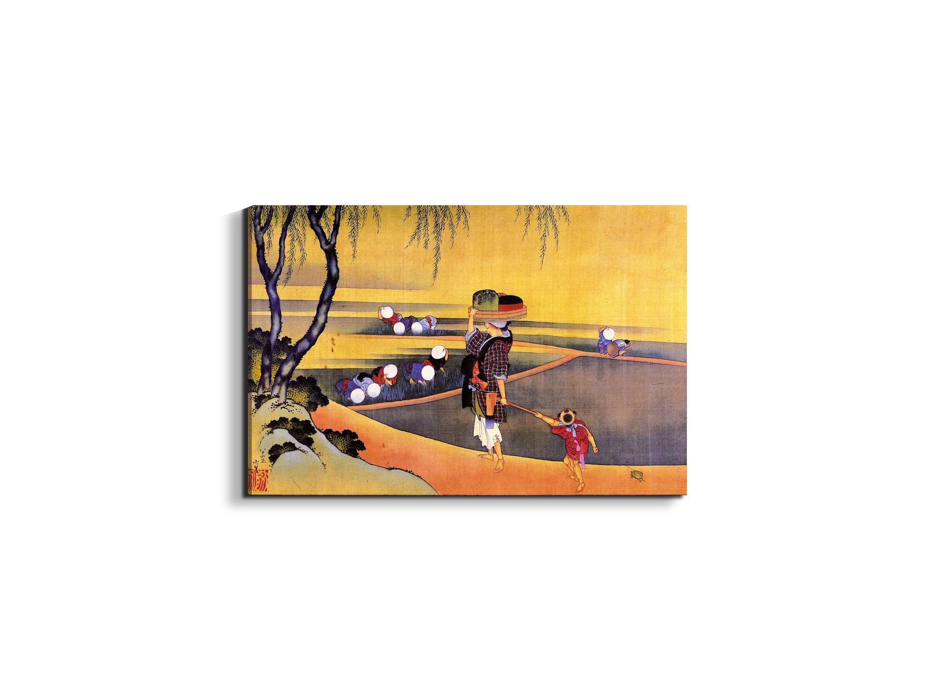 rice-fieldsas90119-