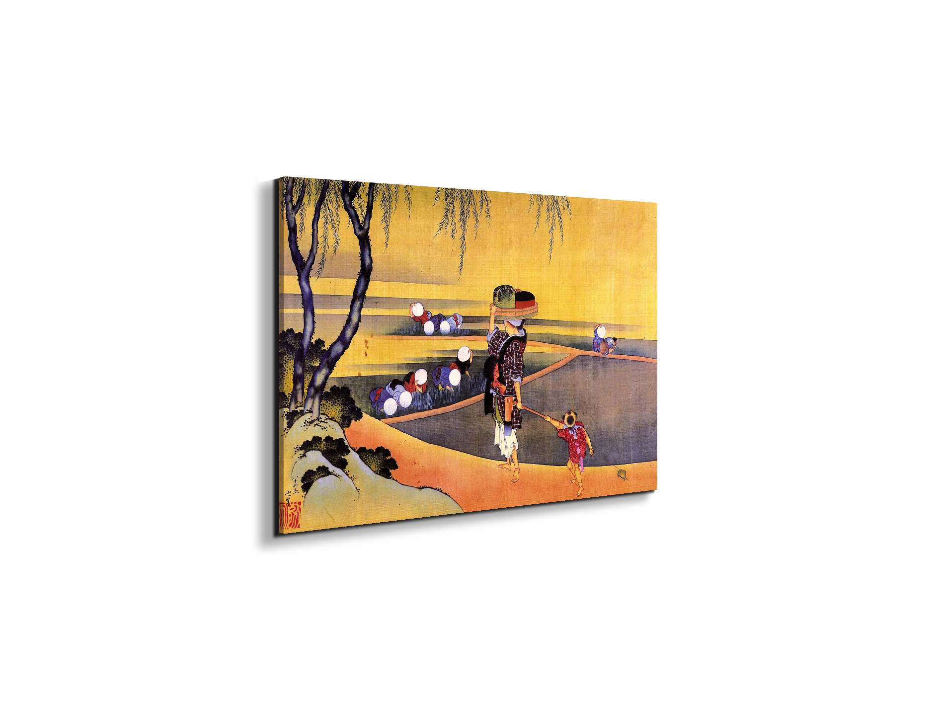rice-fieldsas90119-