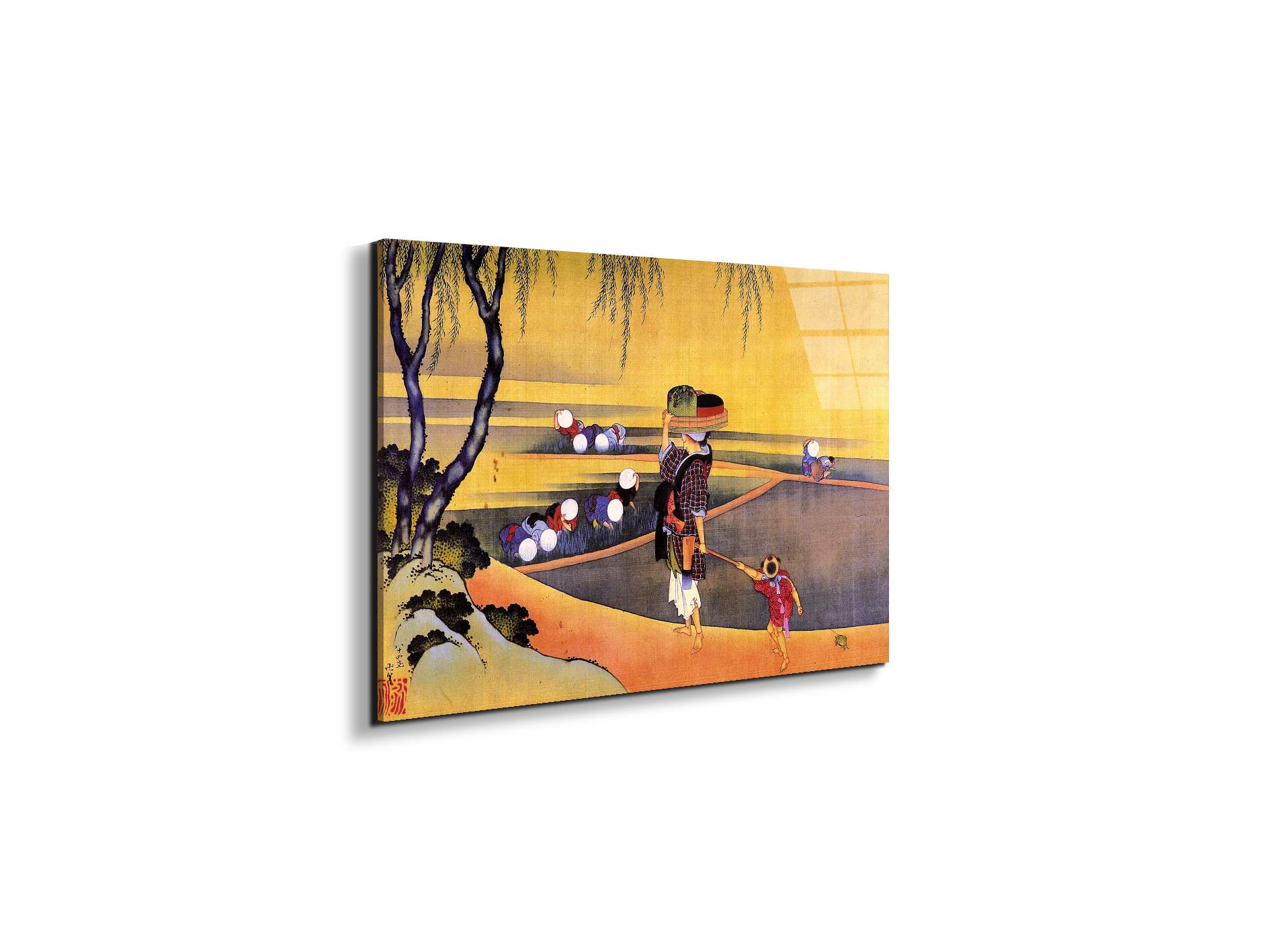 rice-fieldsas90119-