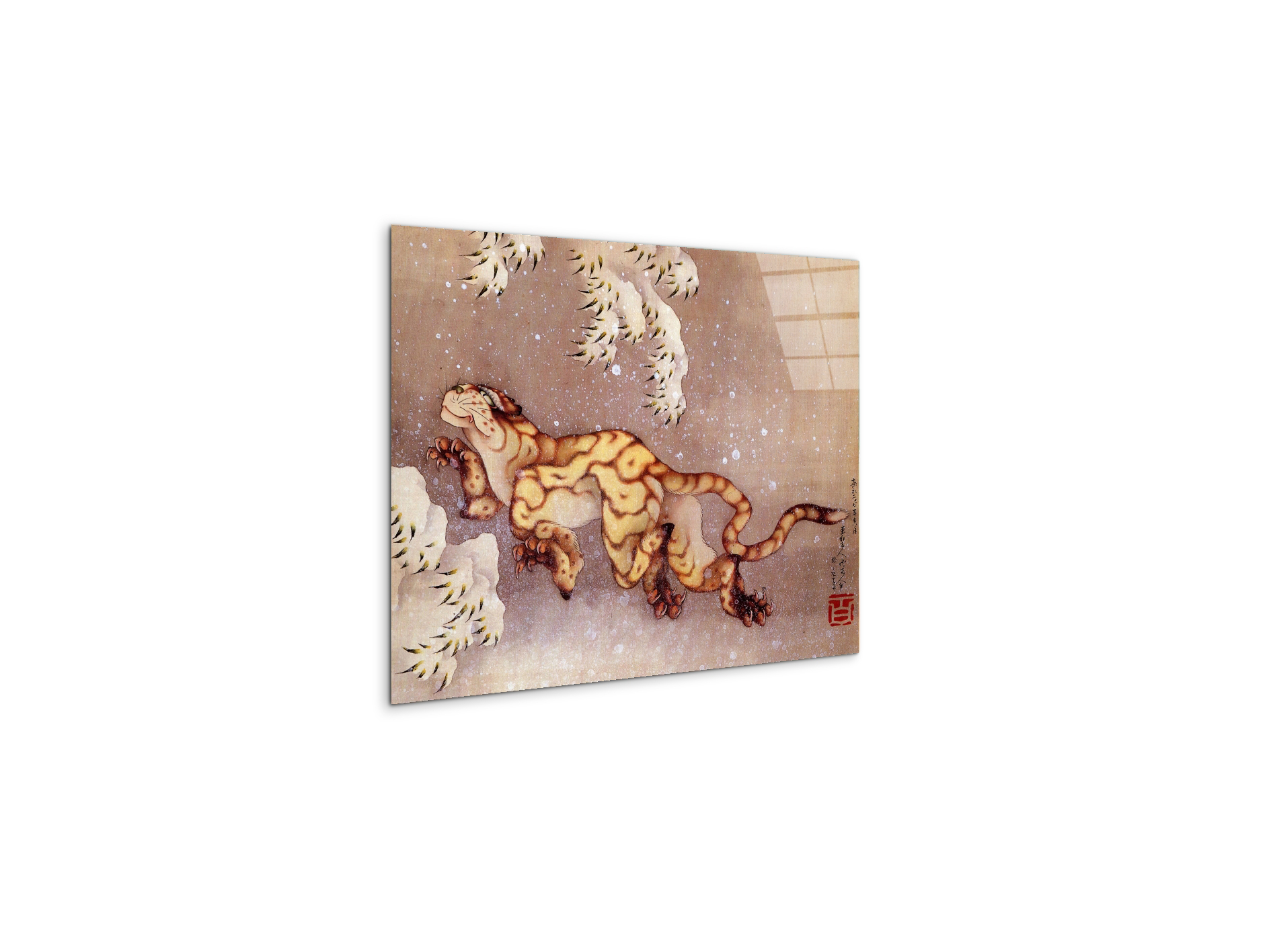 tiger-in-the-snowas90173-
