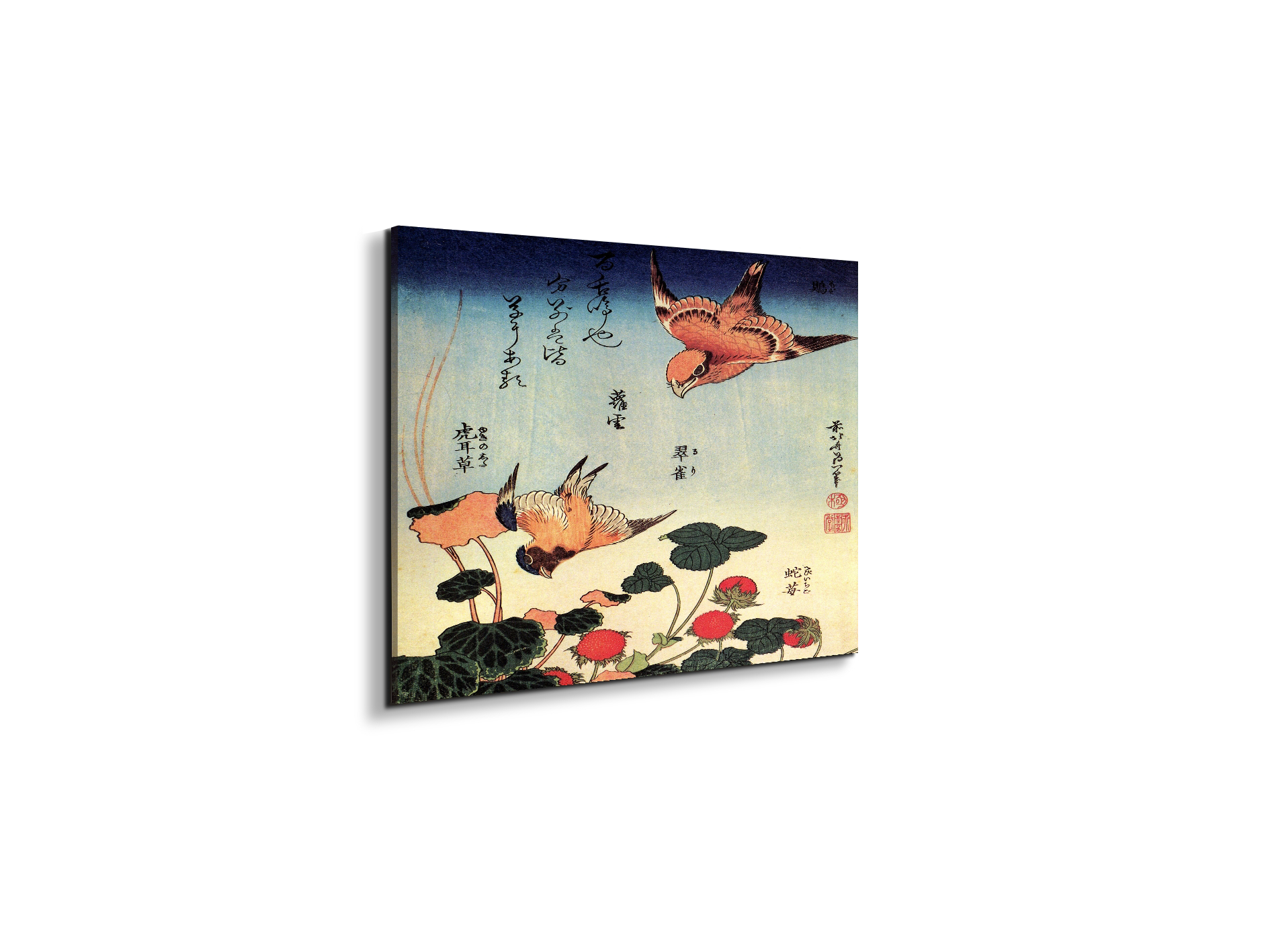 wild-strawberries-and-birdsas90207-