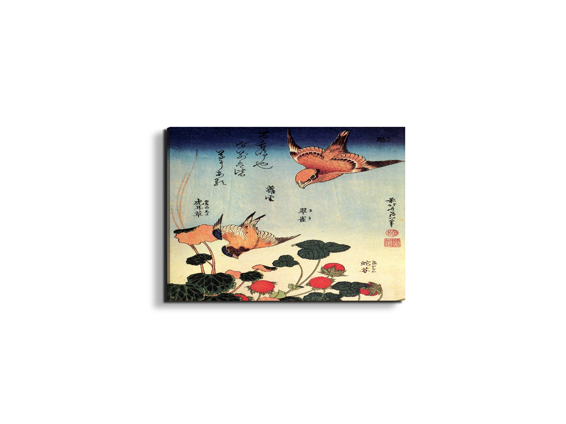 wild-strawberries-and-birdsas90207-