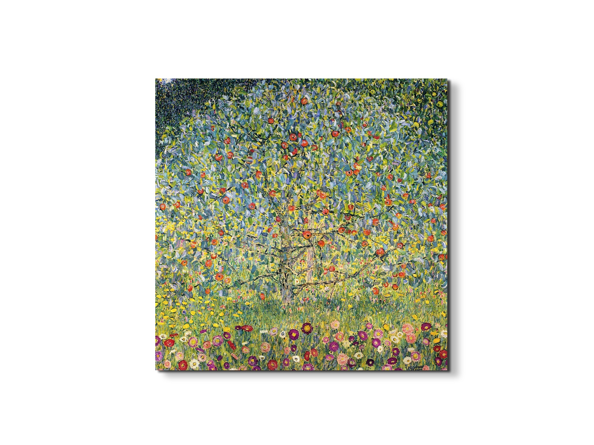 apple-treeas90225-