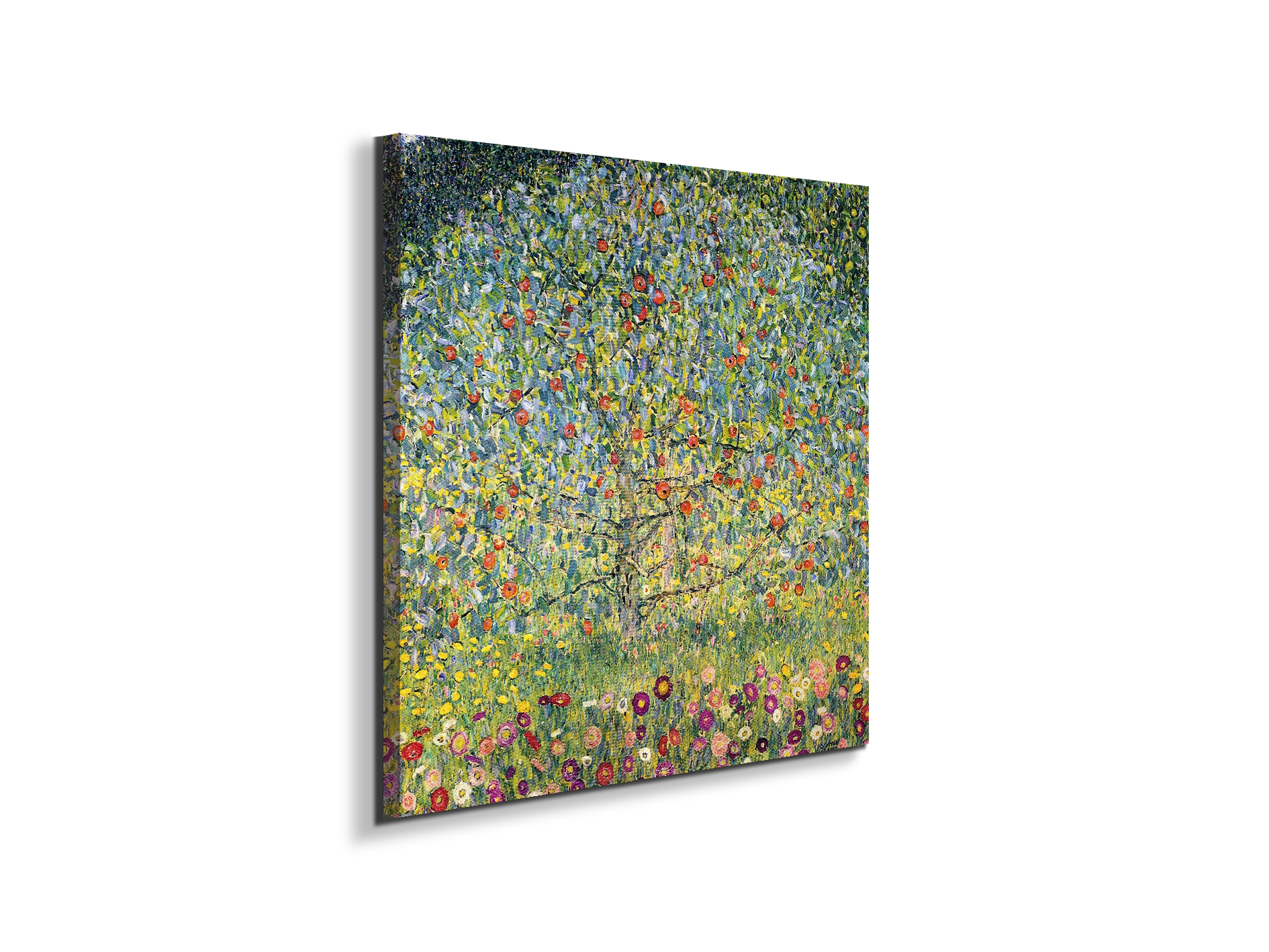 apple-treeas90225-