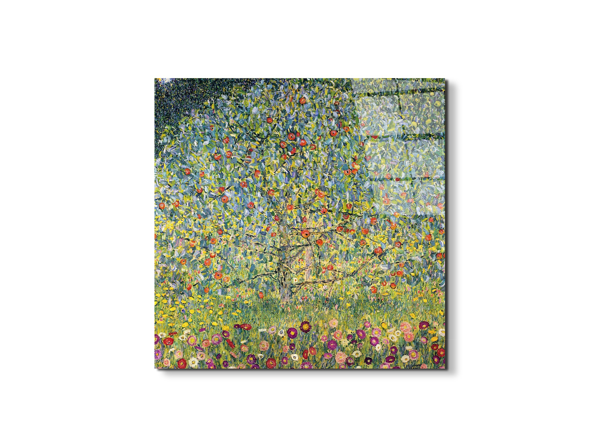 apple-treeas90225-