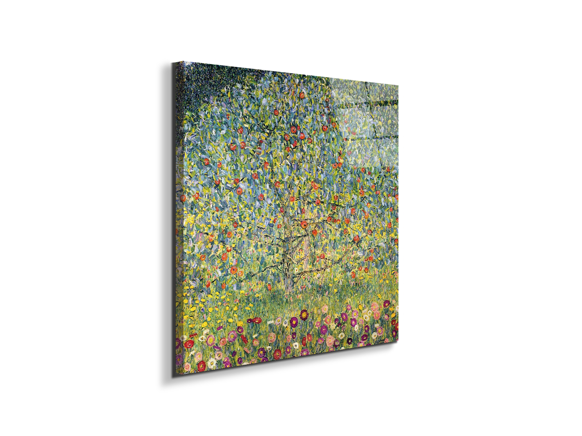 apple-treeas90225-