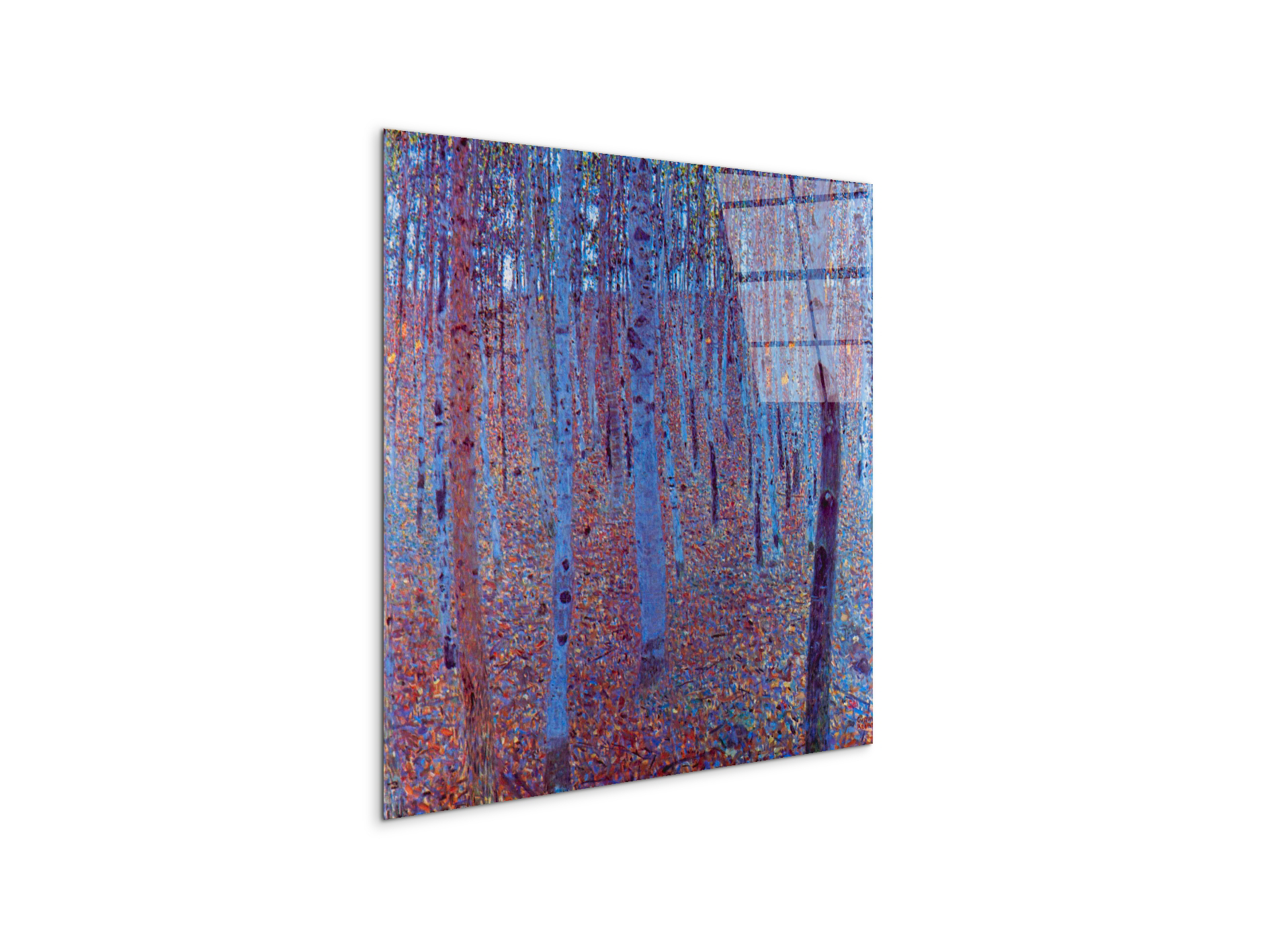 beech-forestas90235-