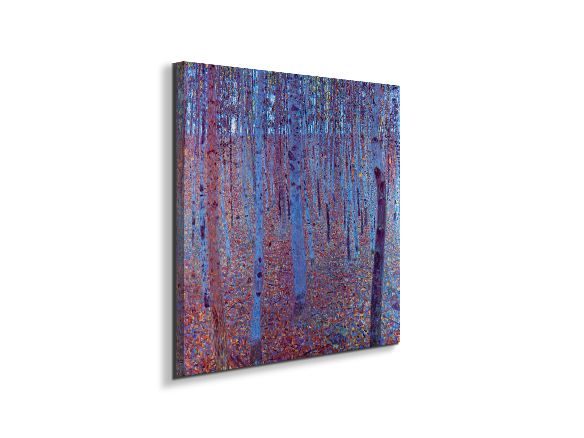 beech-forestas90235-