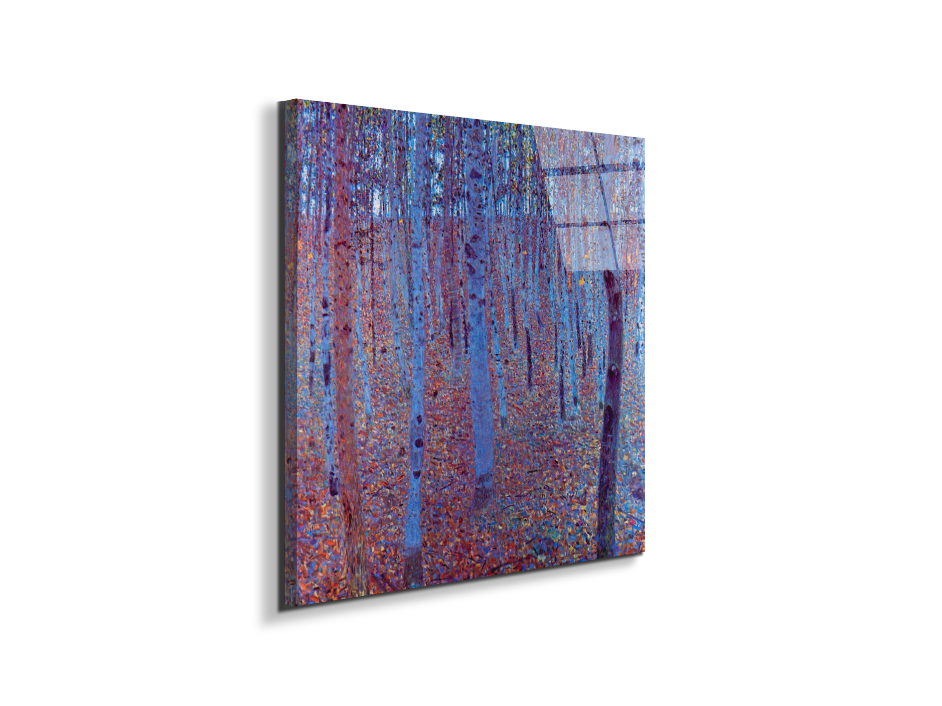 beech-forestas90235-