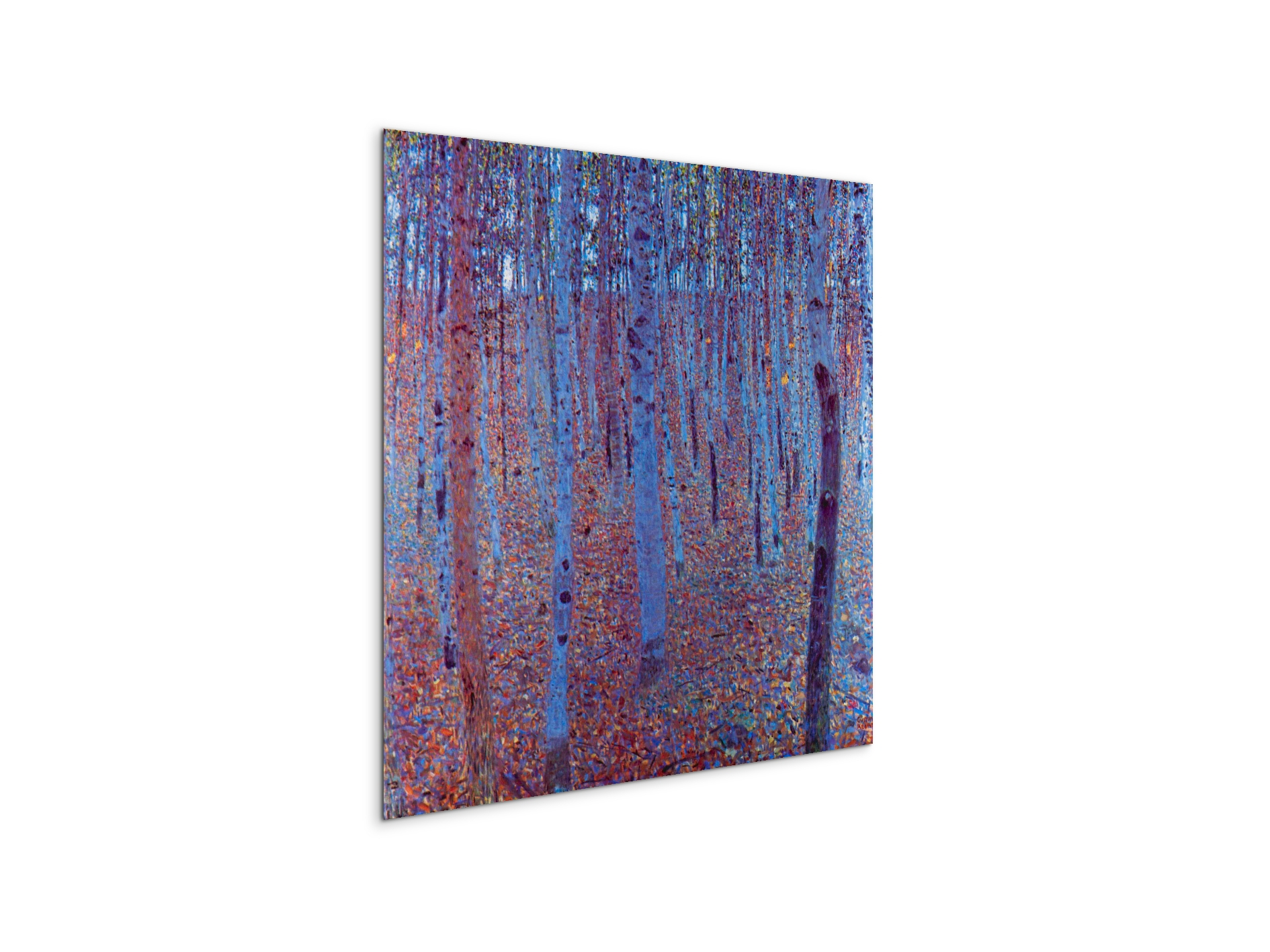 beech-forestas90235-
