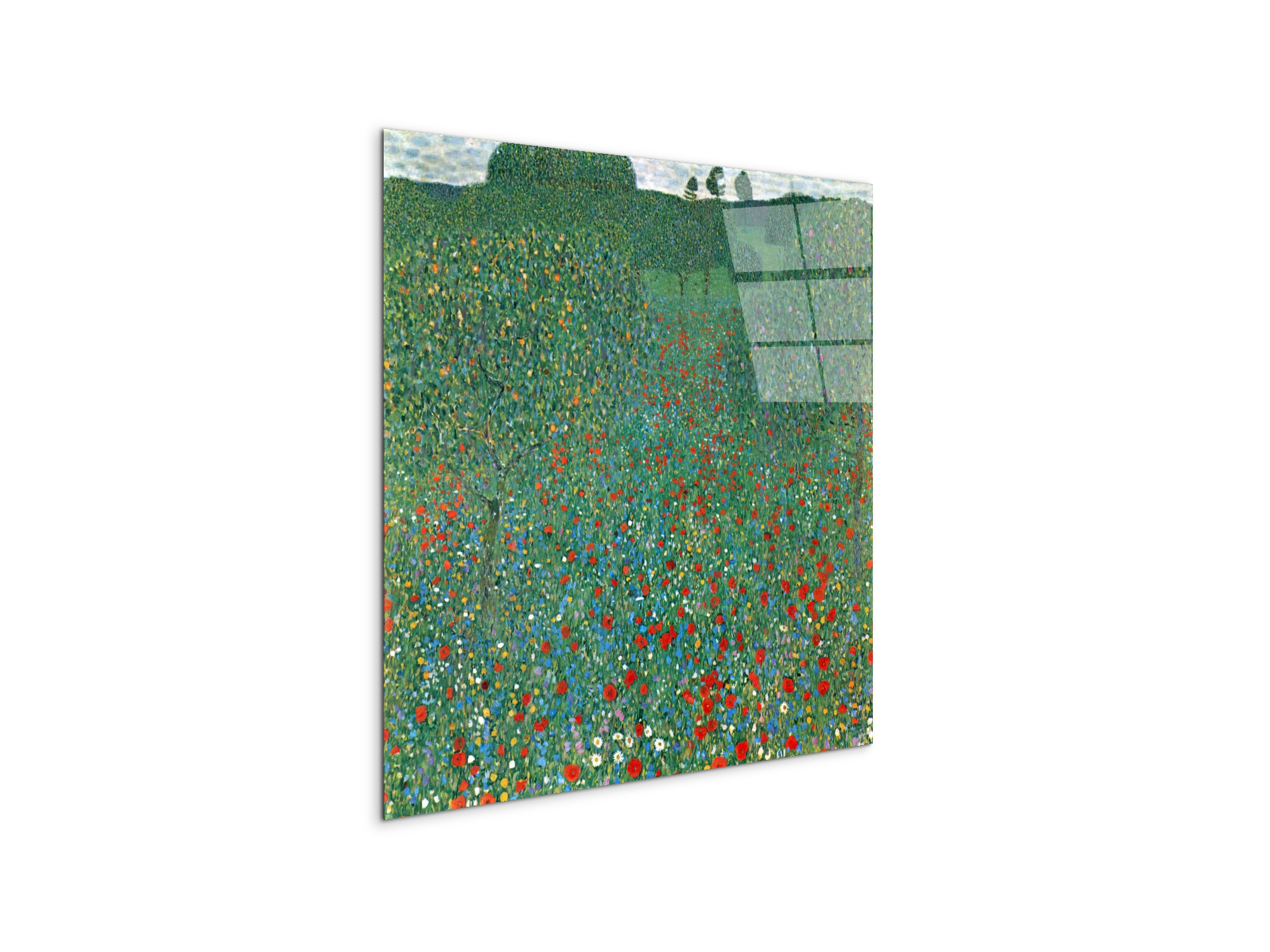 poppy-fieldas90403-1-