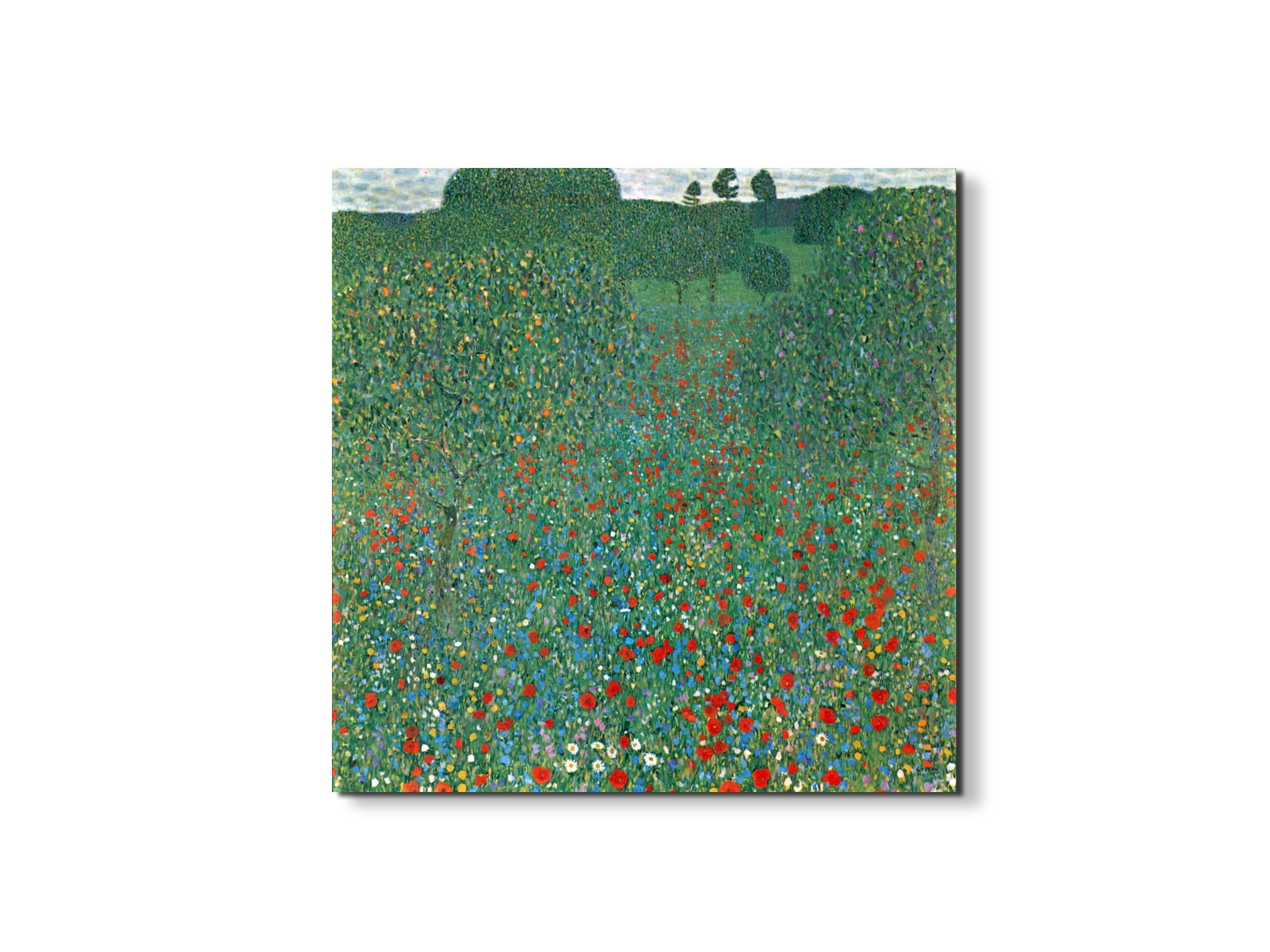 poppy-fieldas90403-1-