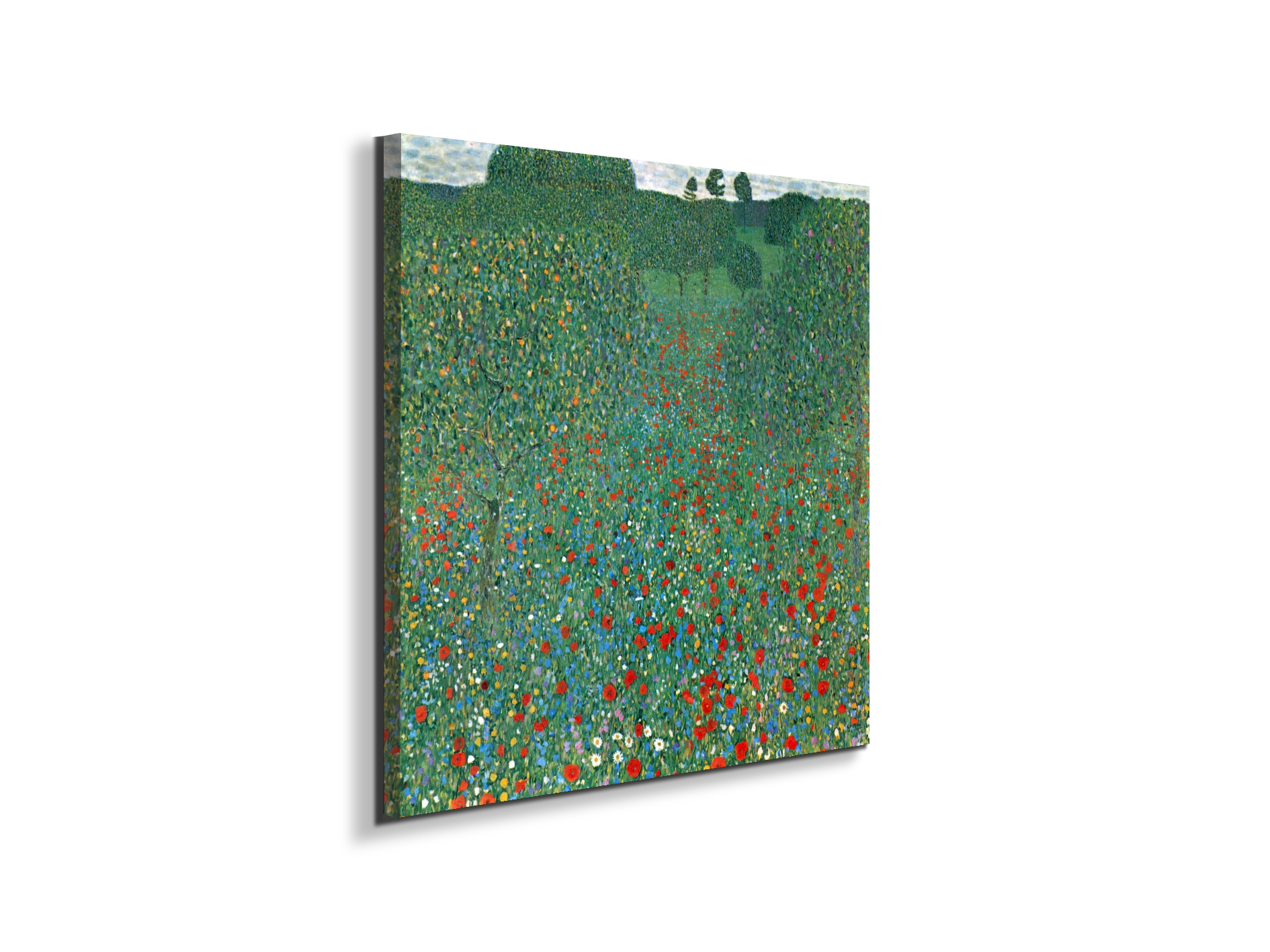 poppy-fieldas90403-1-