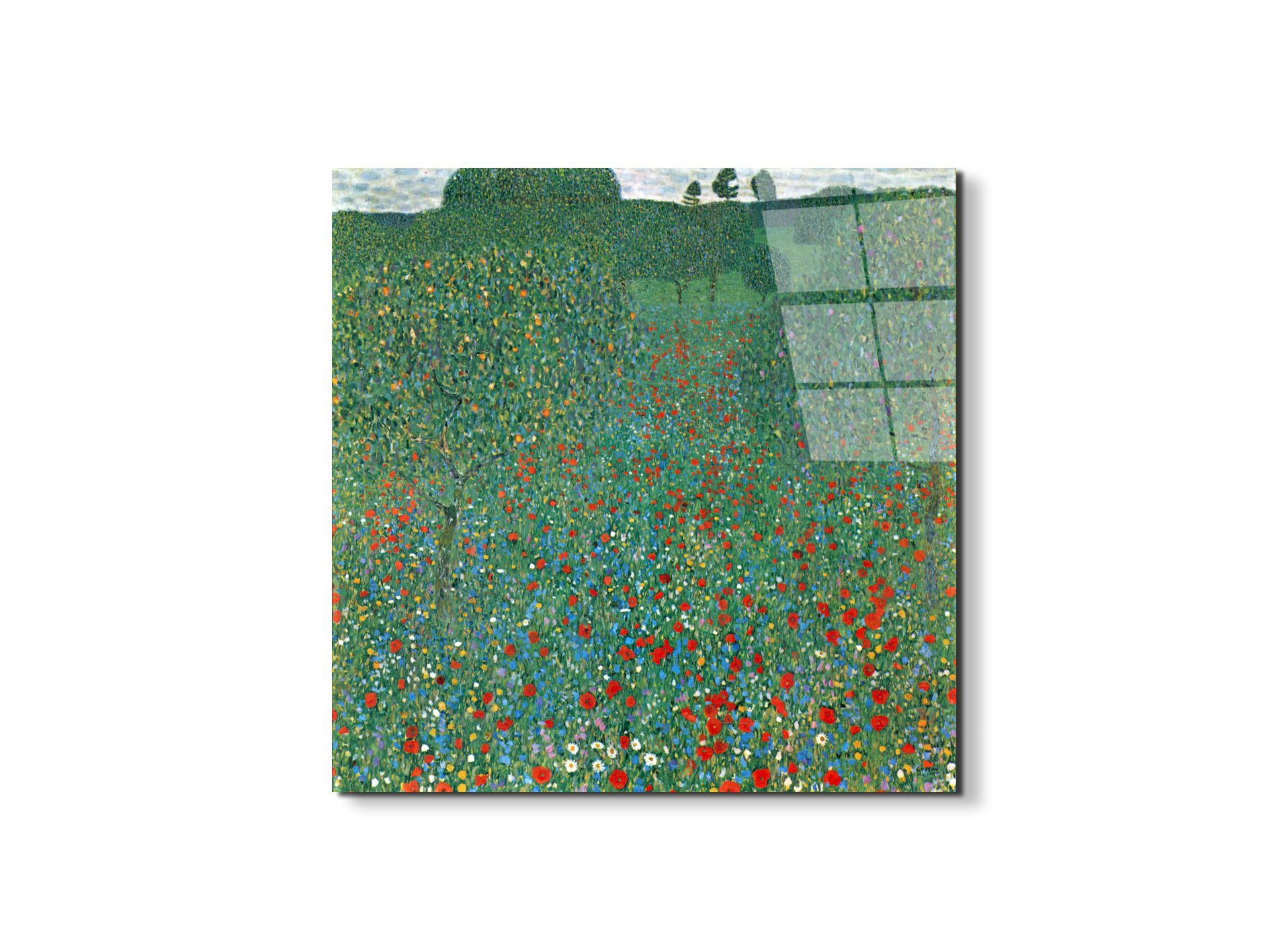 poppy-fieldas90403-1-