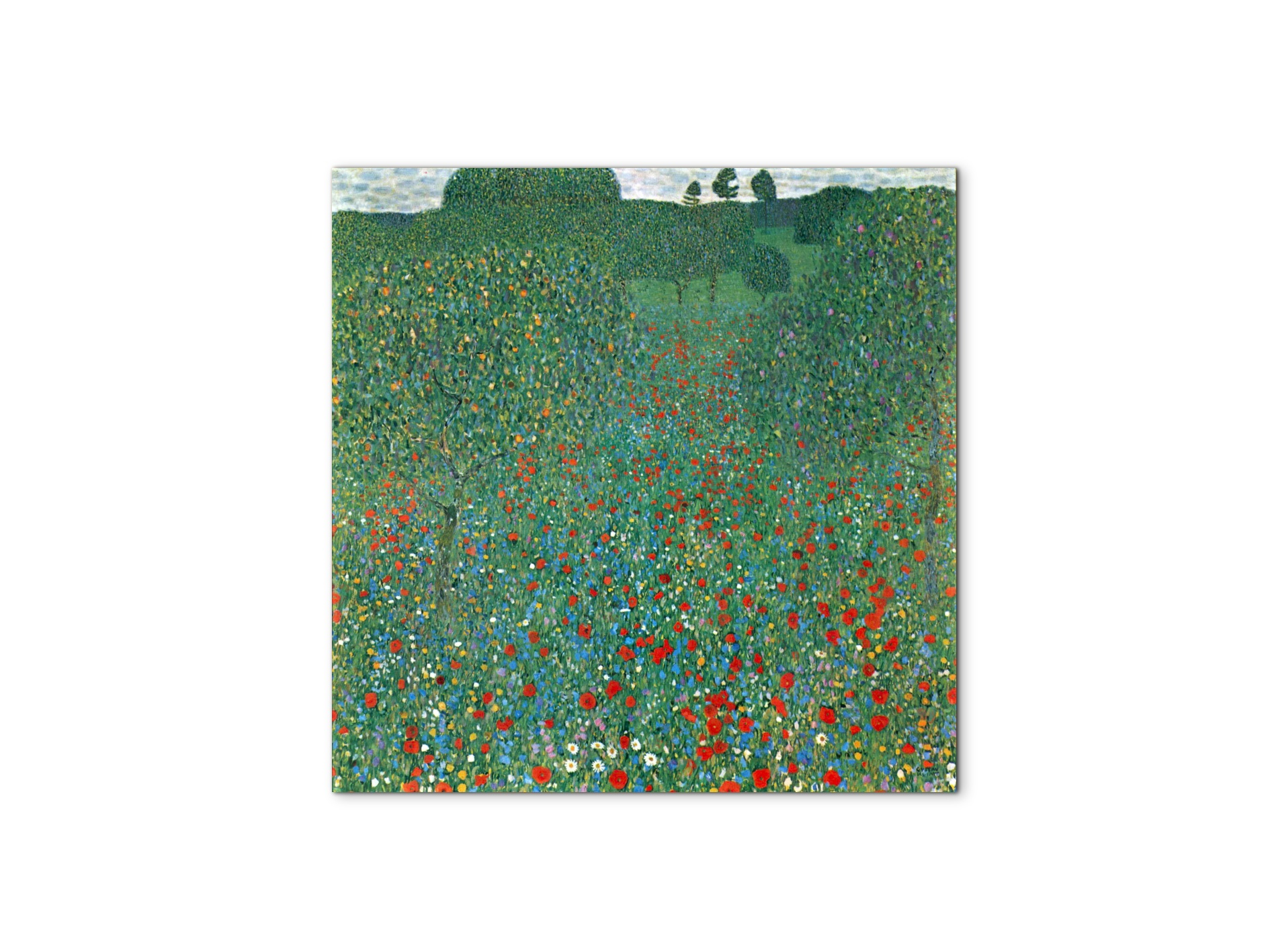 poppy-fieldas90403-1-