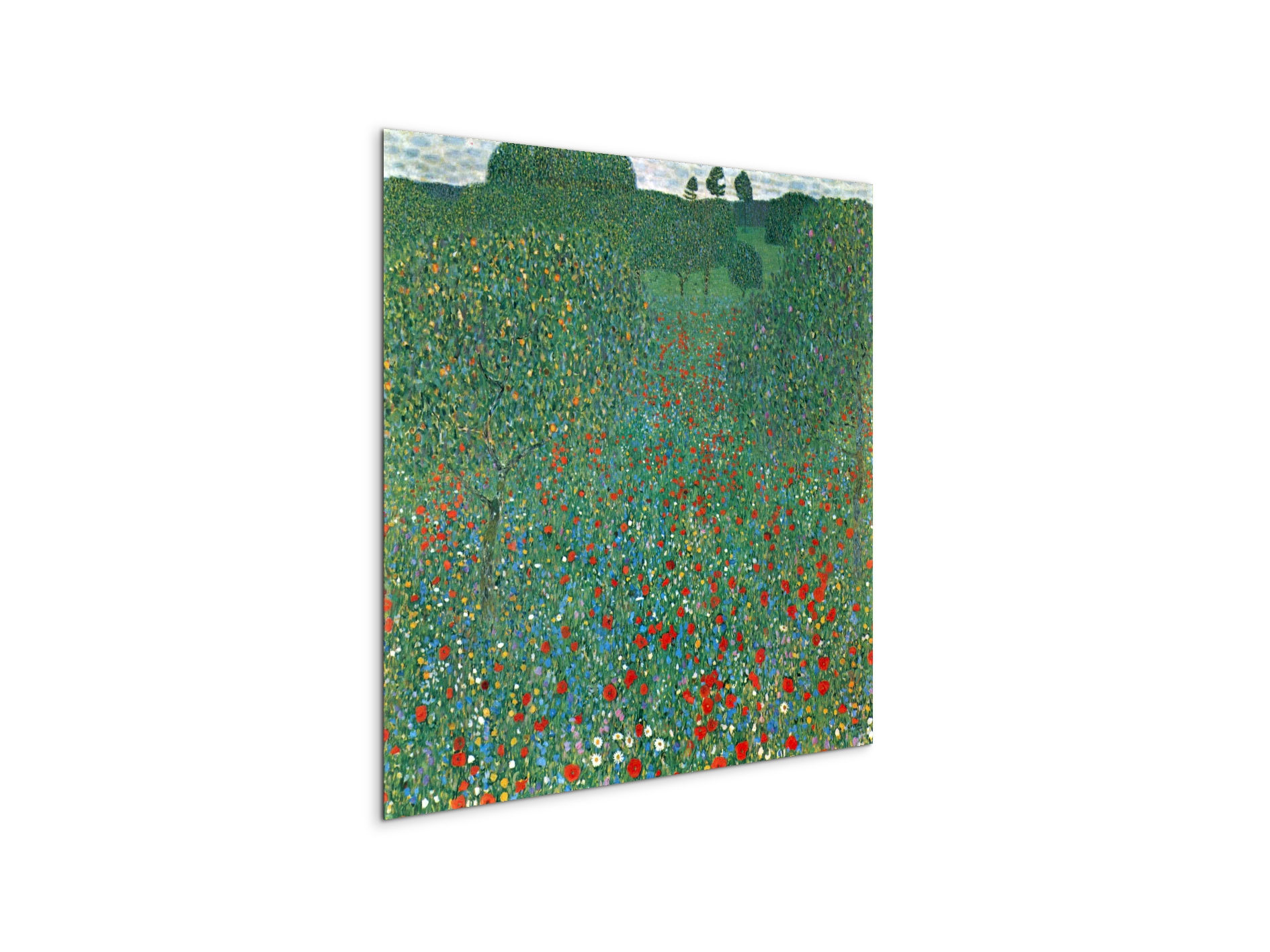 poppy-fieldas90403-1-