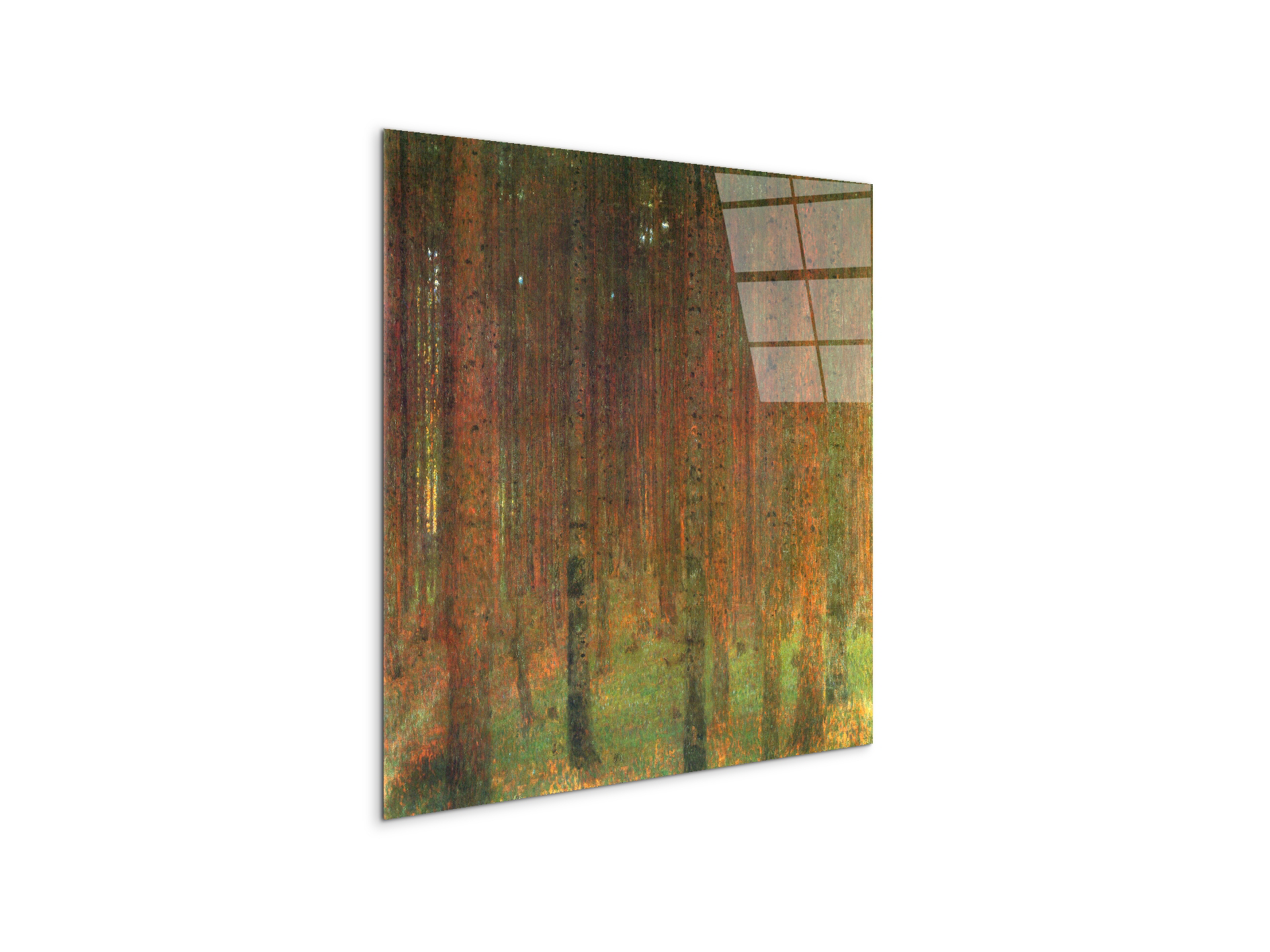 tannenwald-iias90439-1-