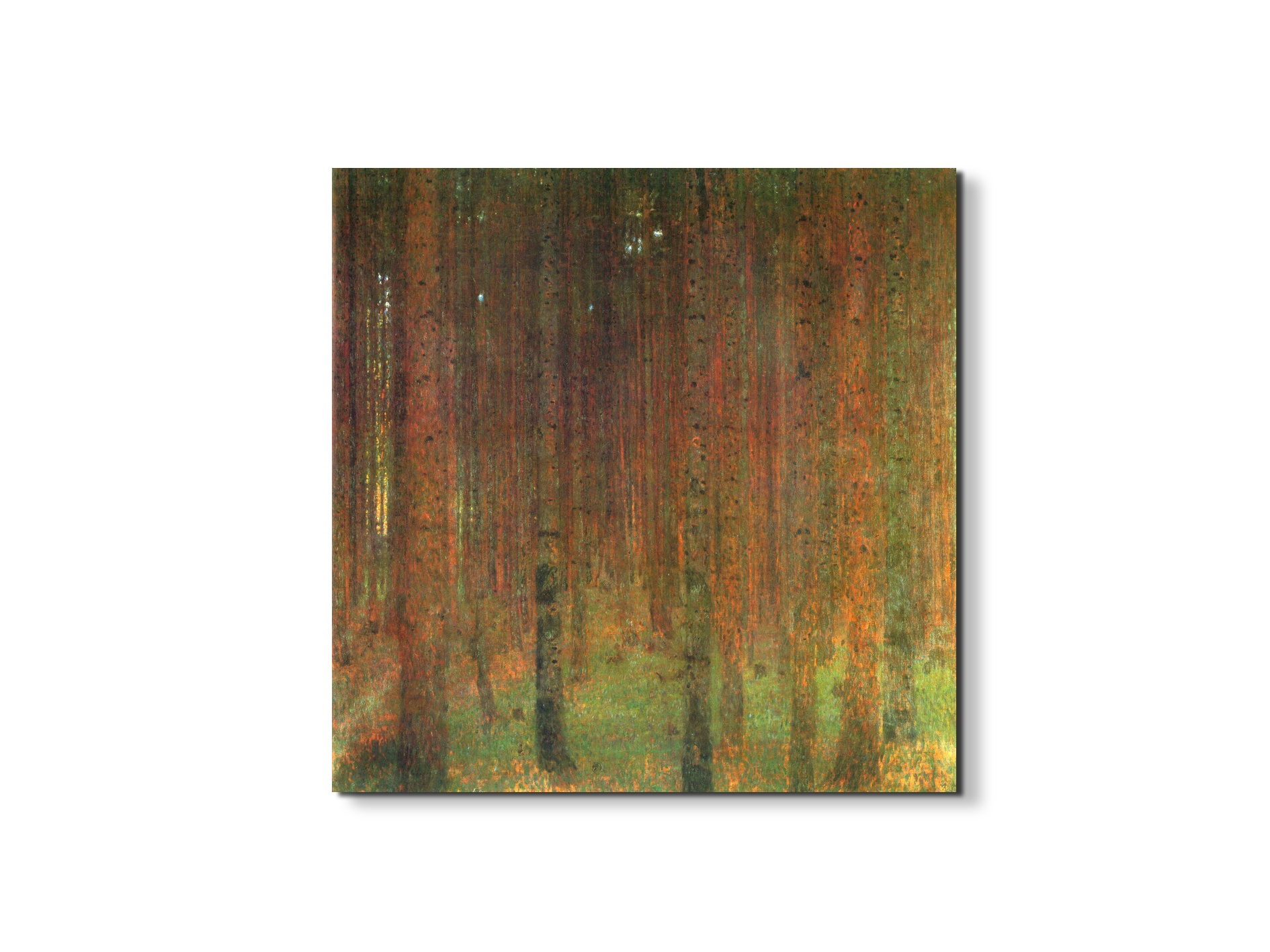 tannenwald-iias90439-1-