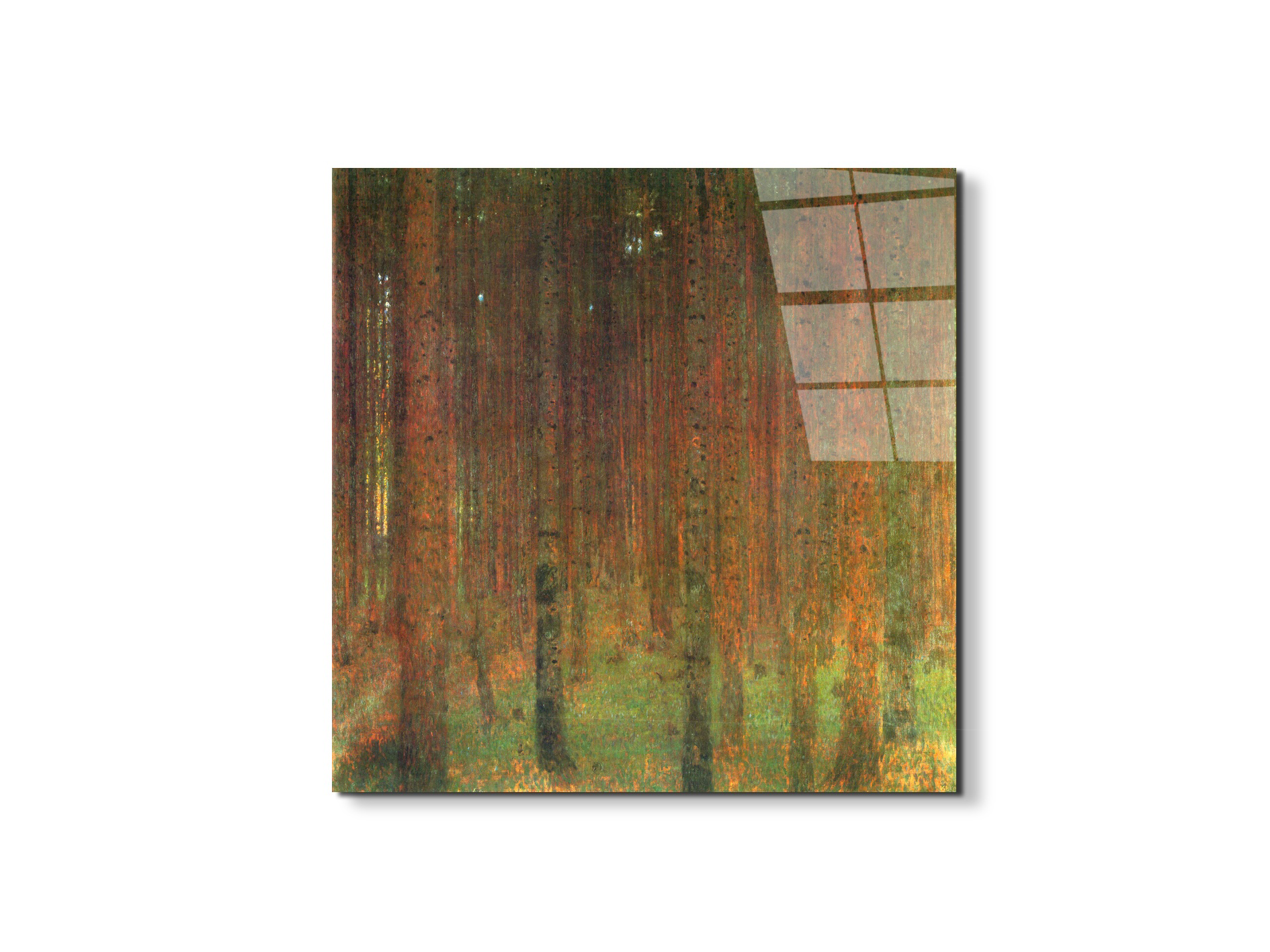 tannenwald-iias90439-1-