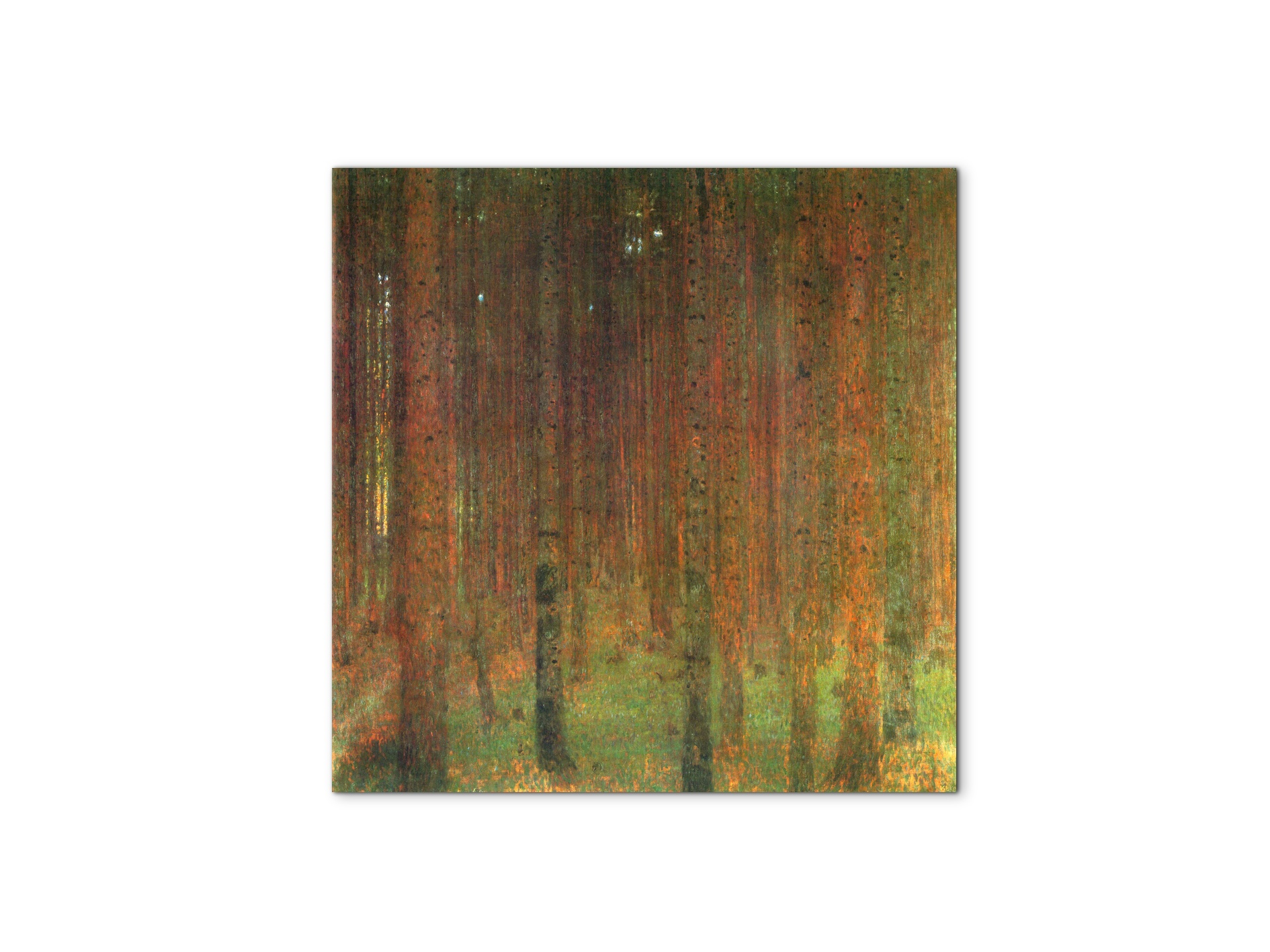 tannenwald-iias90439-1-