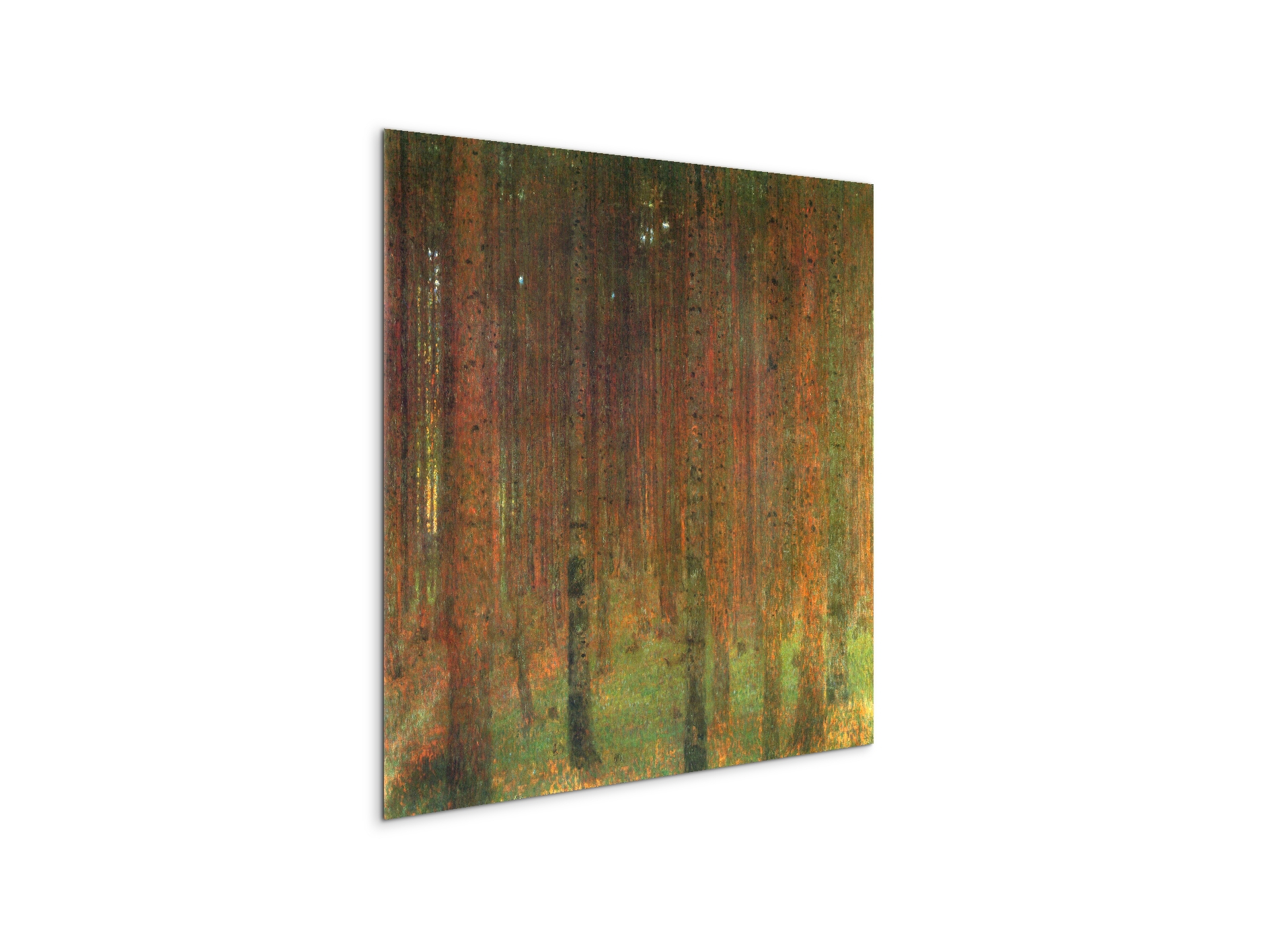tannenwald-iias90439-1-