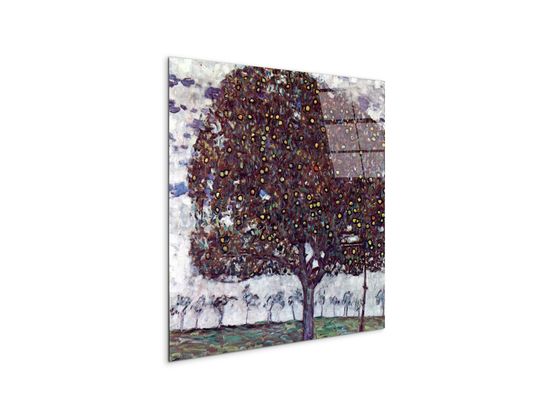 the-apple-treeas90443-