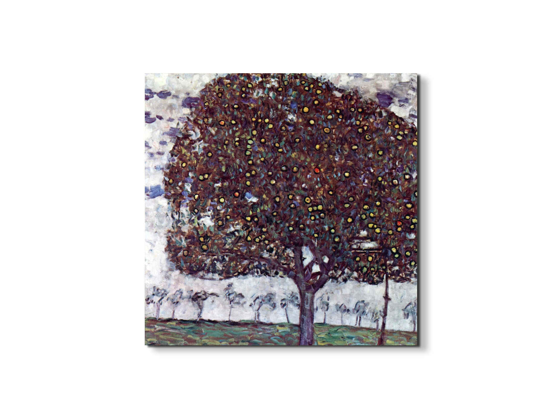 the-apple-treeas90443-