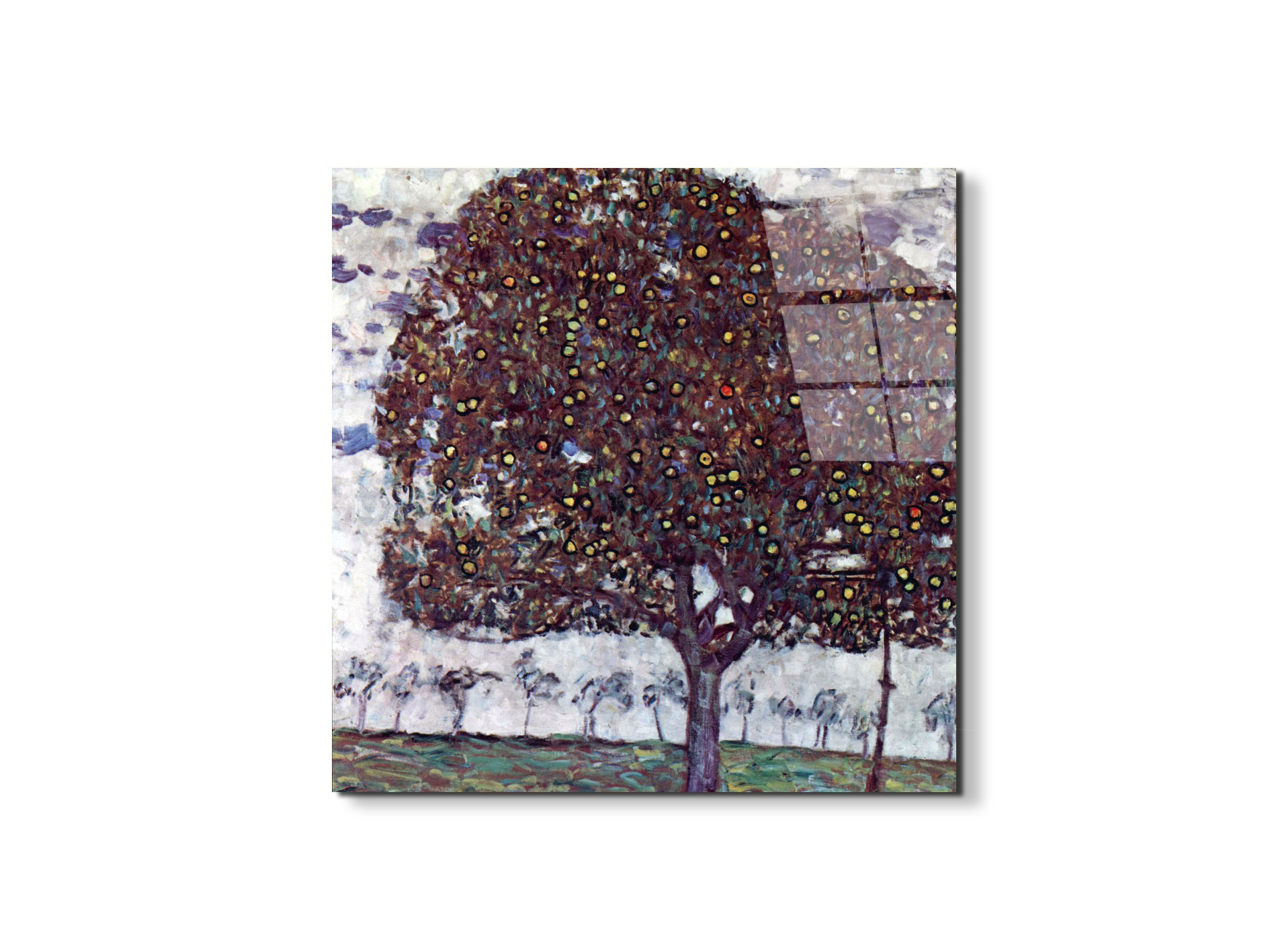 the-apple-treeas90443-