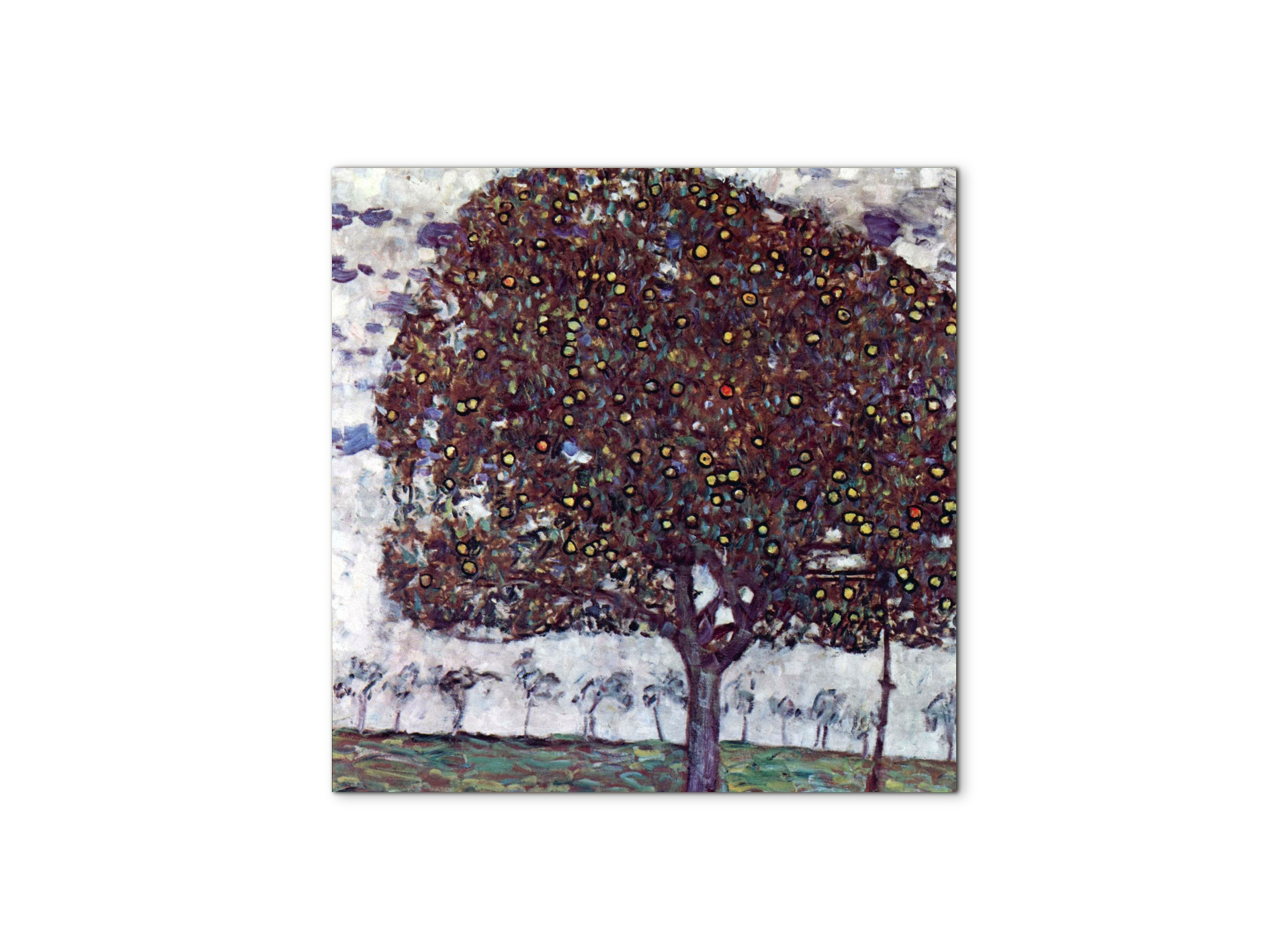 the-apple-treeas90443-