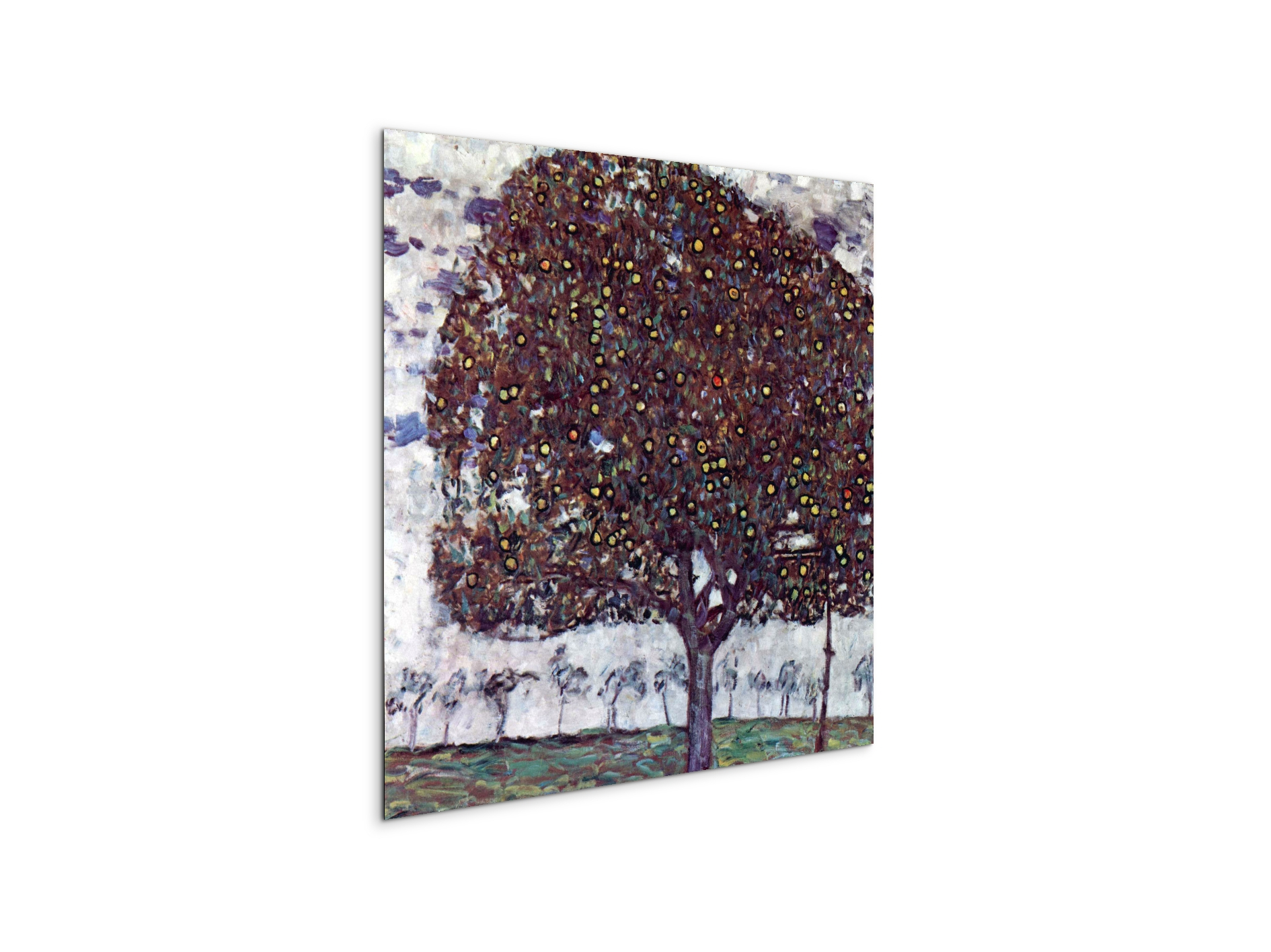 the-apple-treeas90443-
