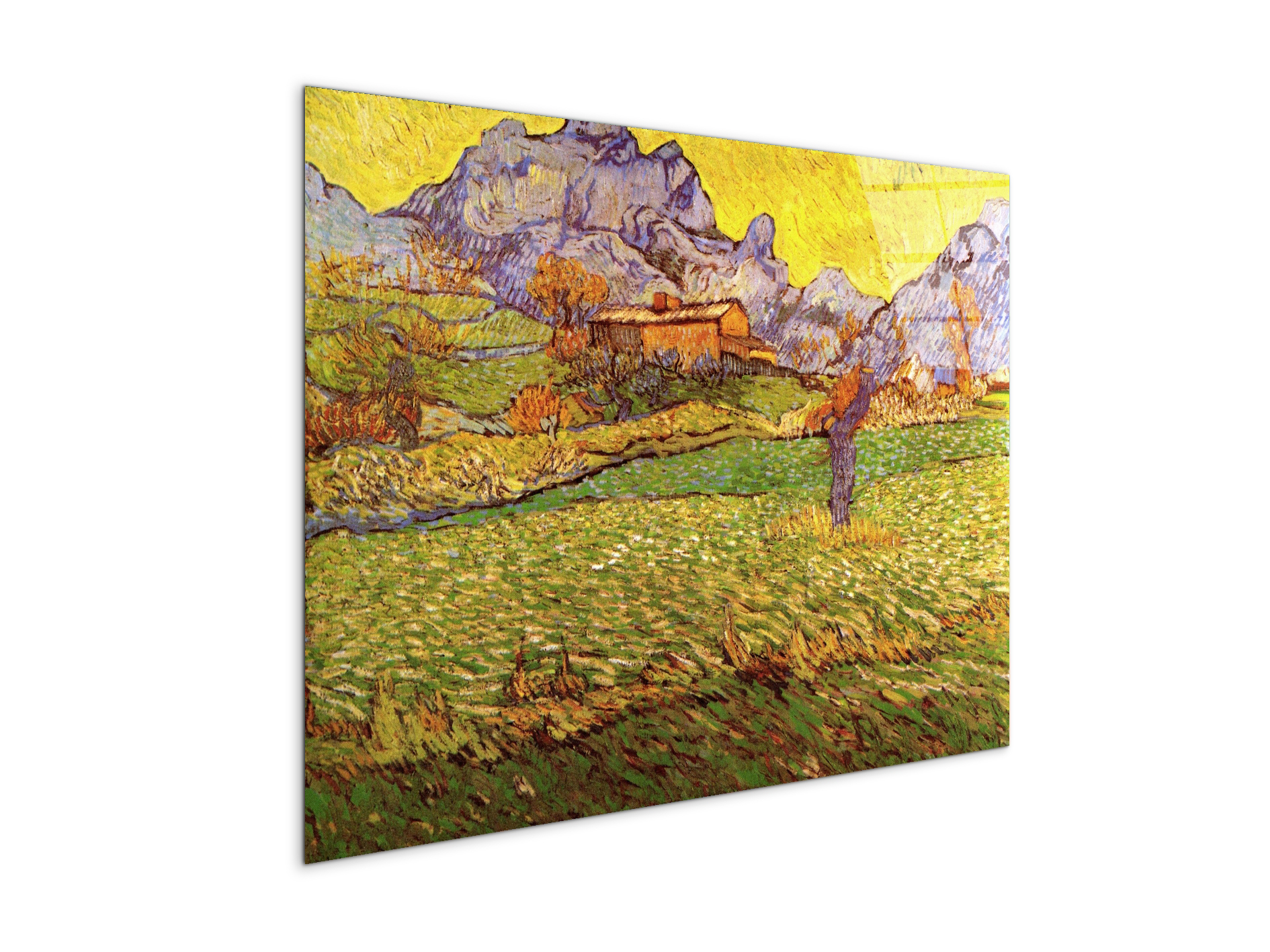 a-meadow-in-the-mountains-le-mas-de-saint-paulas90539-
