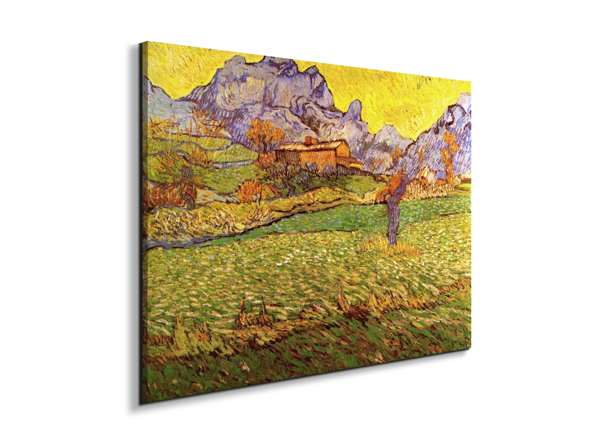 a-meadow-in-the-mountains-le-mas-de-saint-paulas90539-