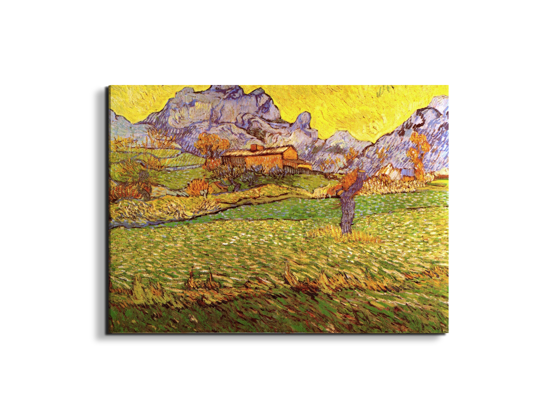 a-meadow-in-the-mountains-le-mas-de-saint-paulas90539-