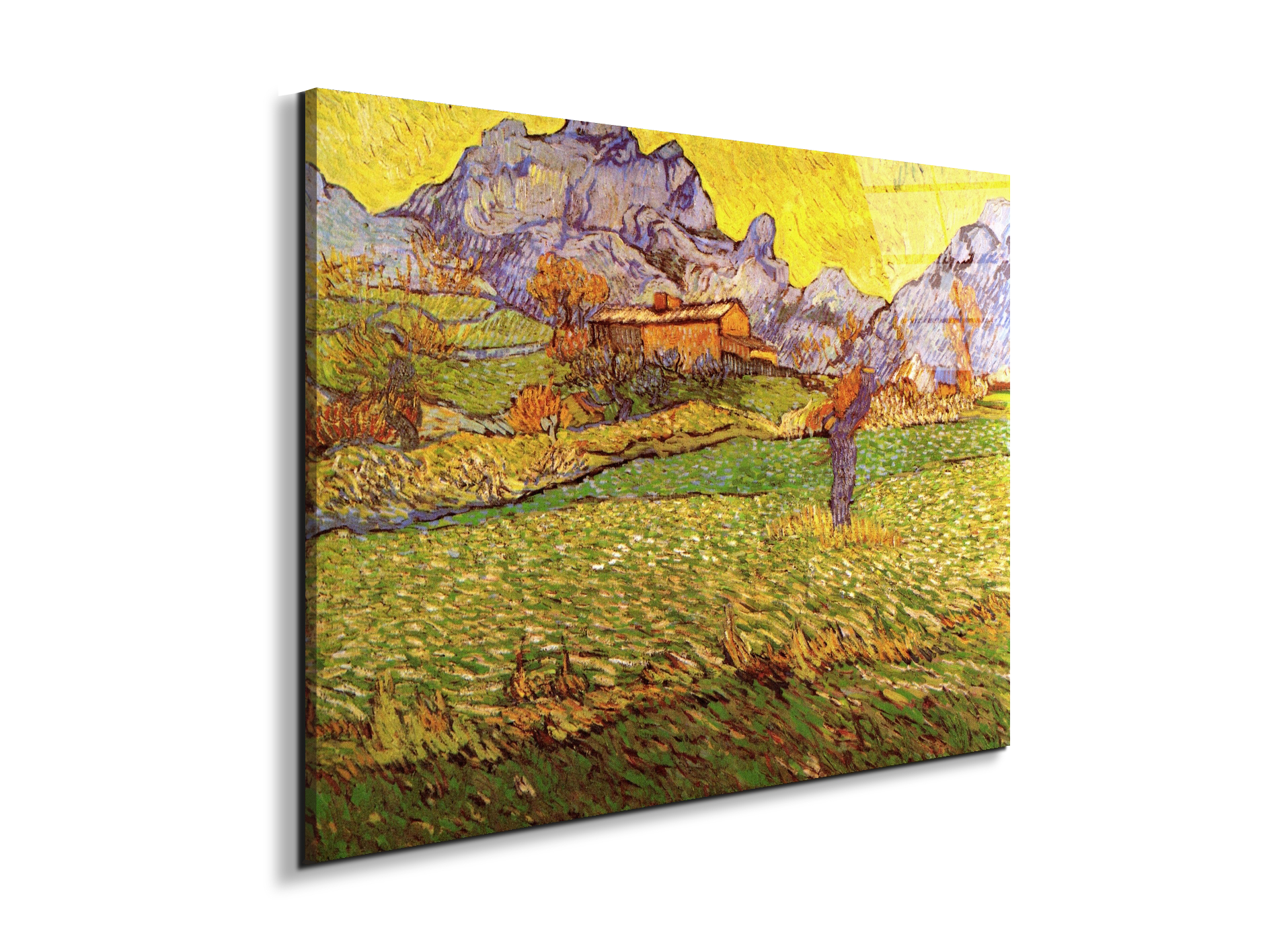 a-meadow-in-the-mountains-le-mas-de-saint-paulas90539-