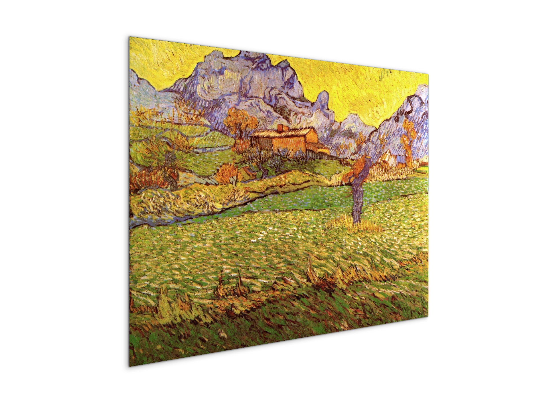 a-meadow-in-the-mountains-le-mas-de-saint-paulas90539-