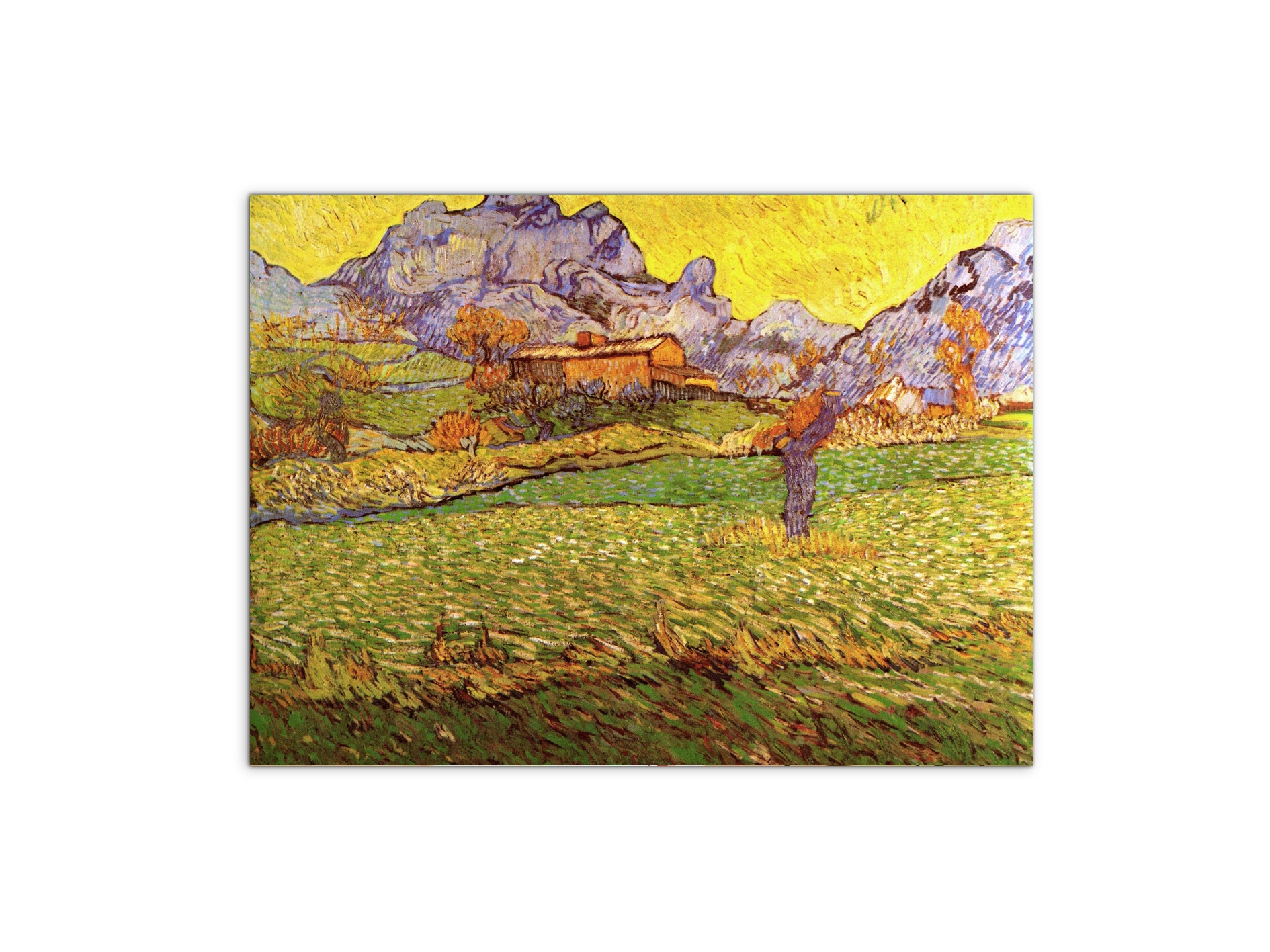 a-meadow-in-the-mountains-le-mas-de-saint-paulas90539-