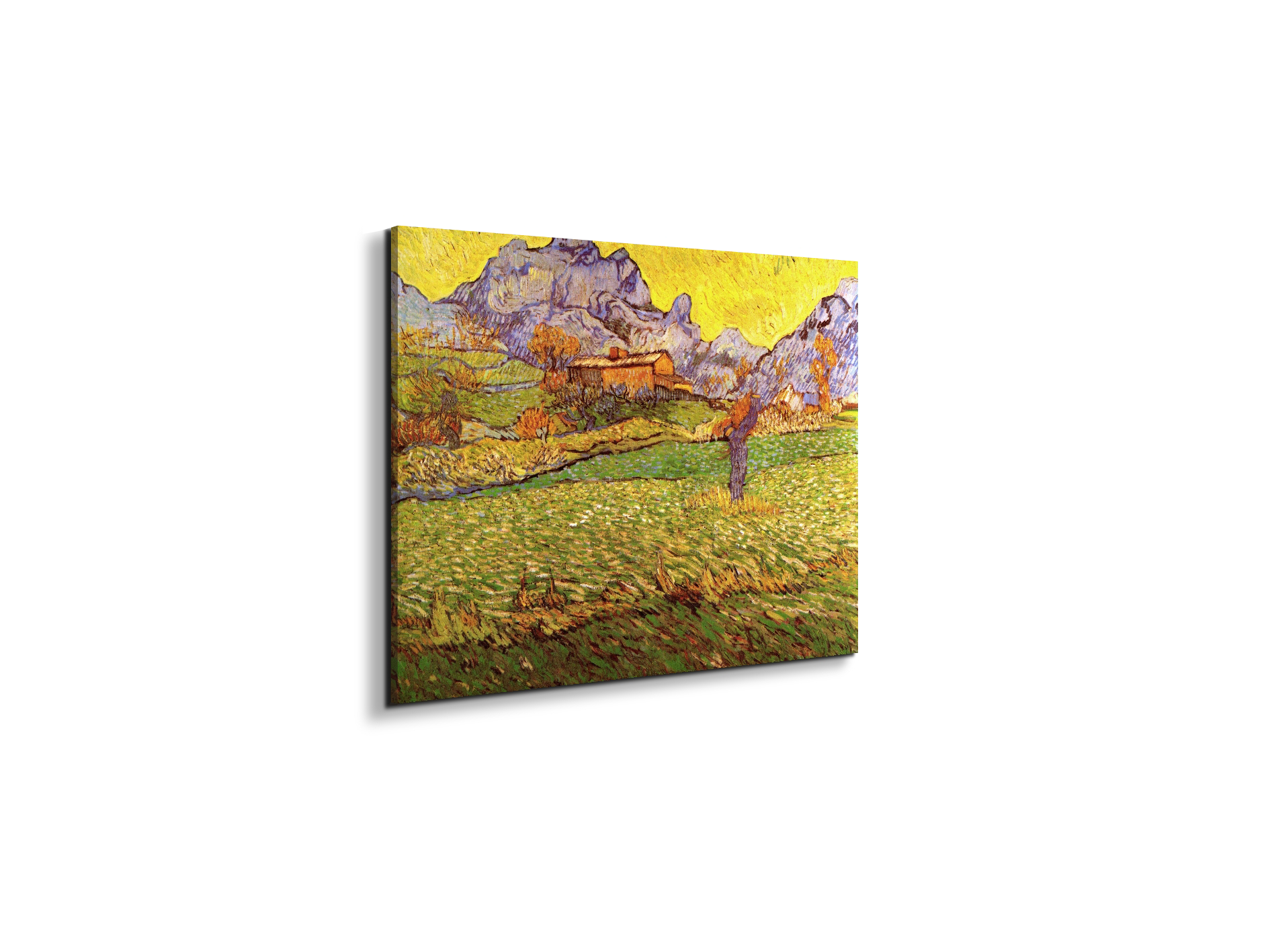 a-meadow-in-the-mountains-le-mas-de-saint-paulas90539-
