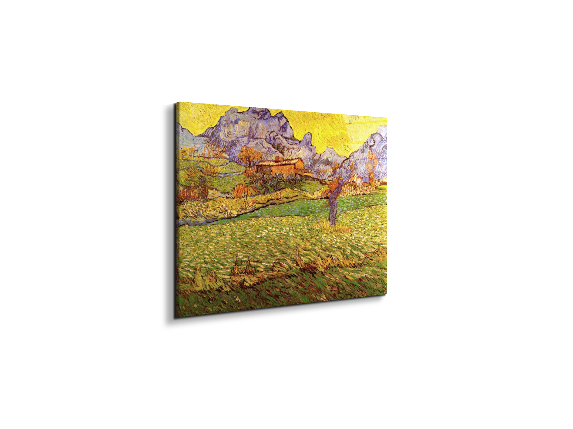 a-meadow-in-the-mountains-le-mas-de-saint-paulas90539-