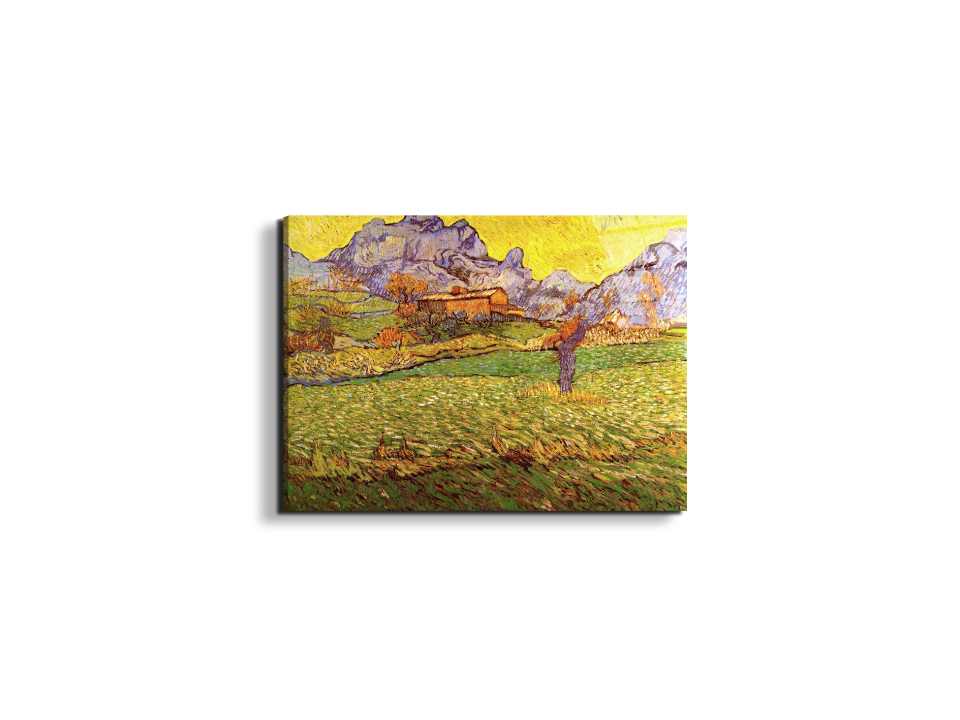 a-meadow-in-the-mountains-le-mas-de-saint-paulas90539-